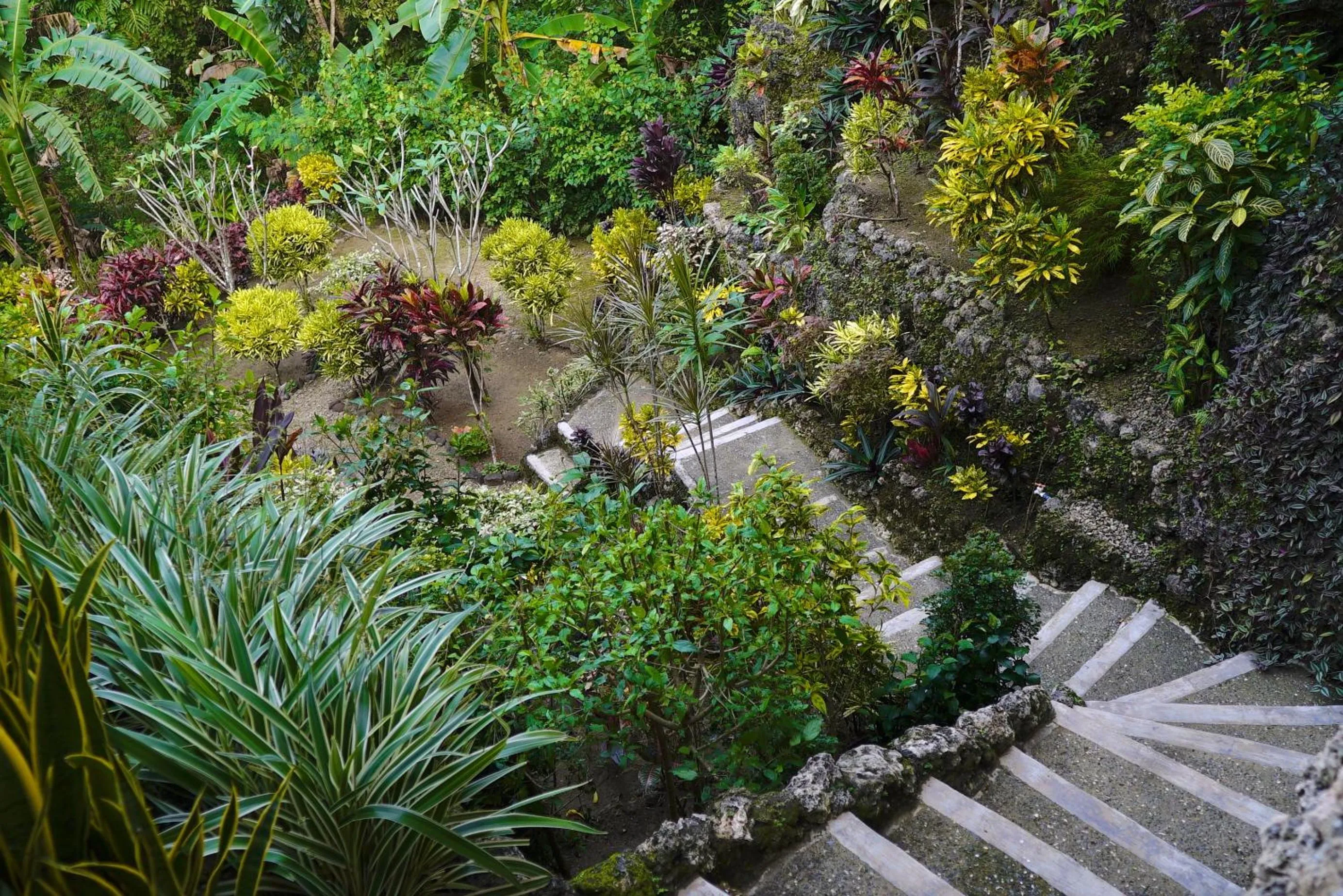 Garden in Guindulman Bay Tourist Inn