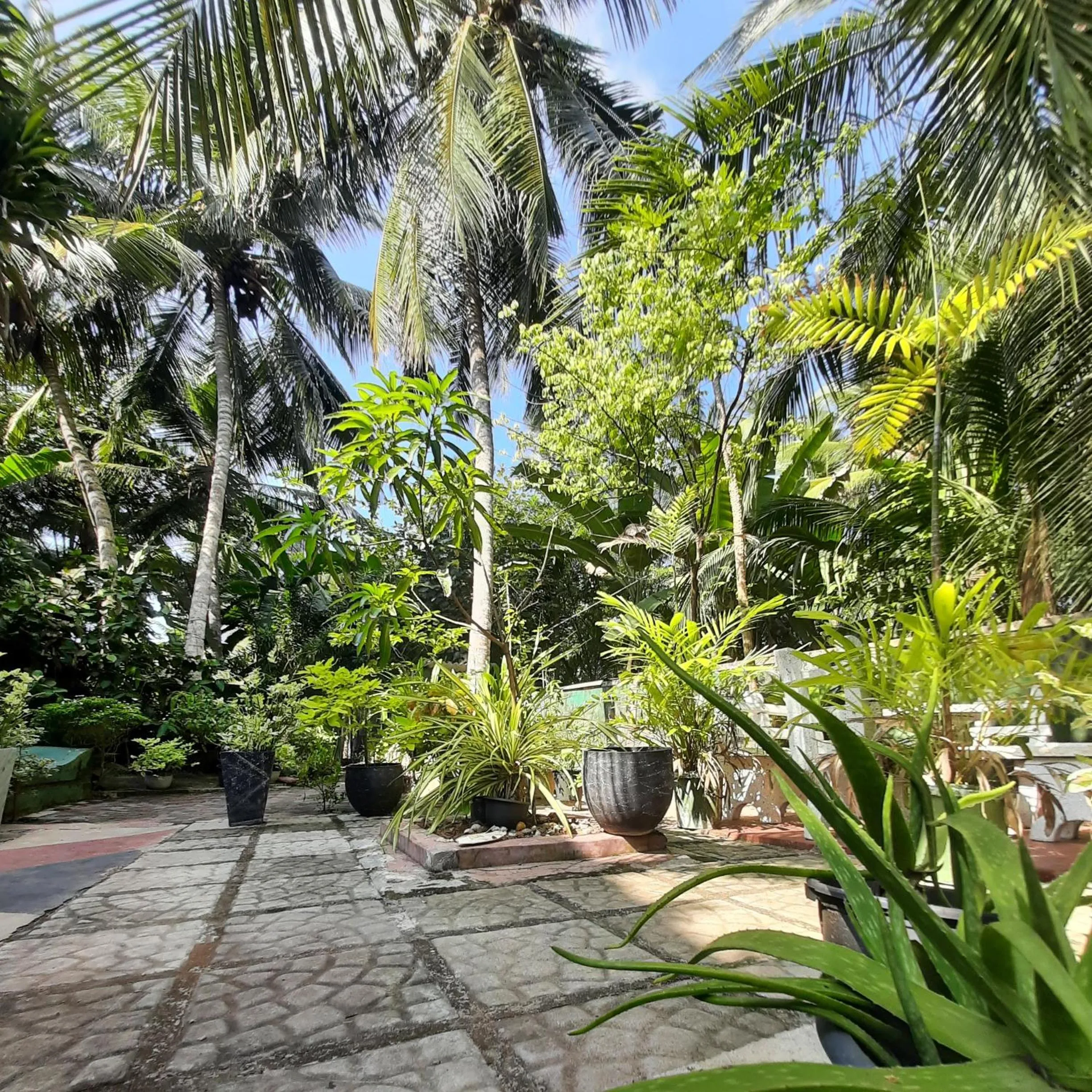 Garden, Swimming Pool in Susee Villa