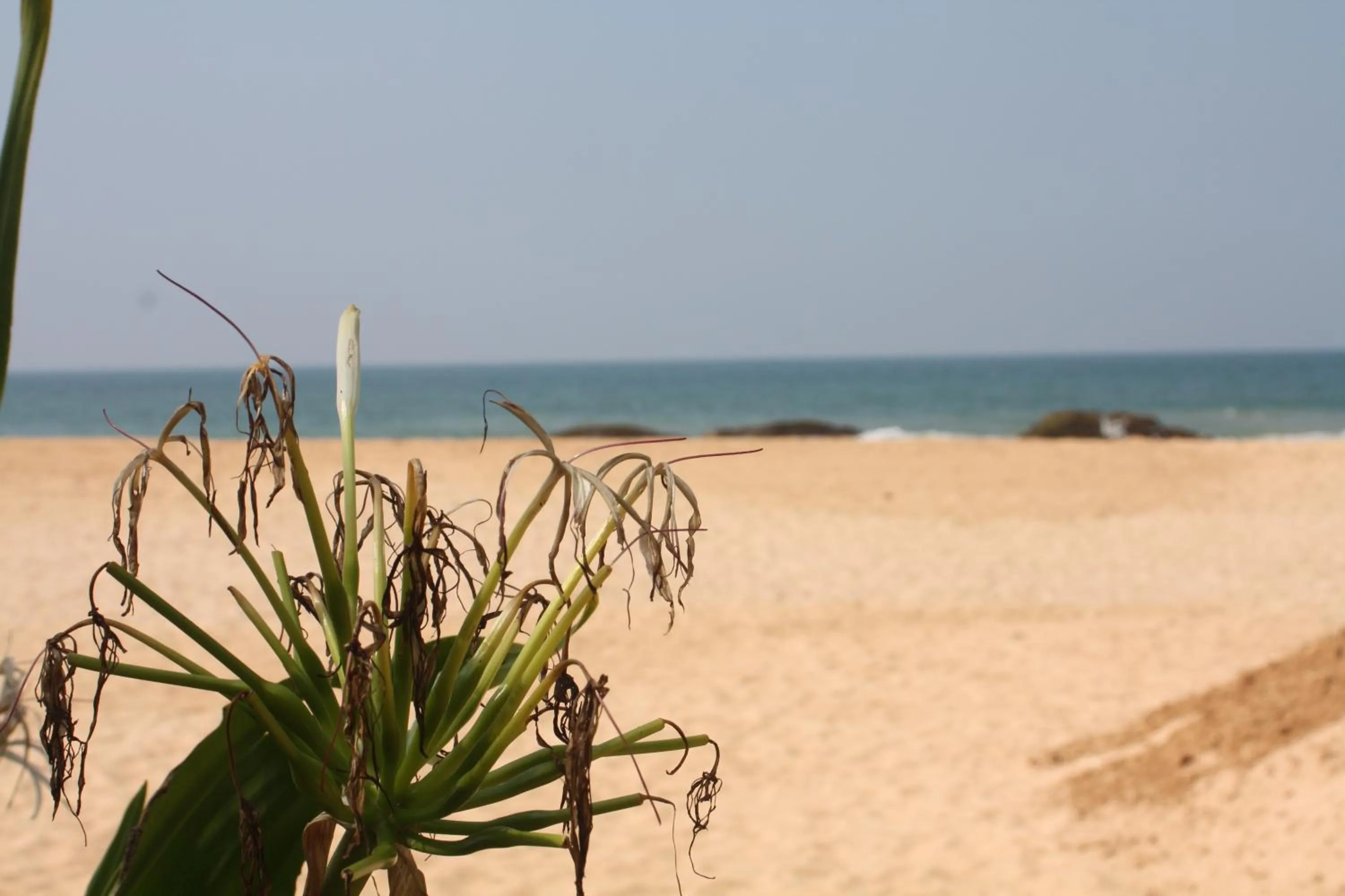 Fishing, Beach in Susee Villa