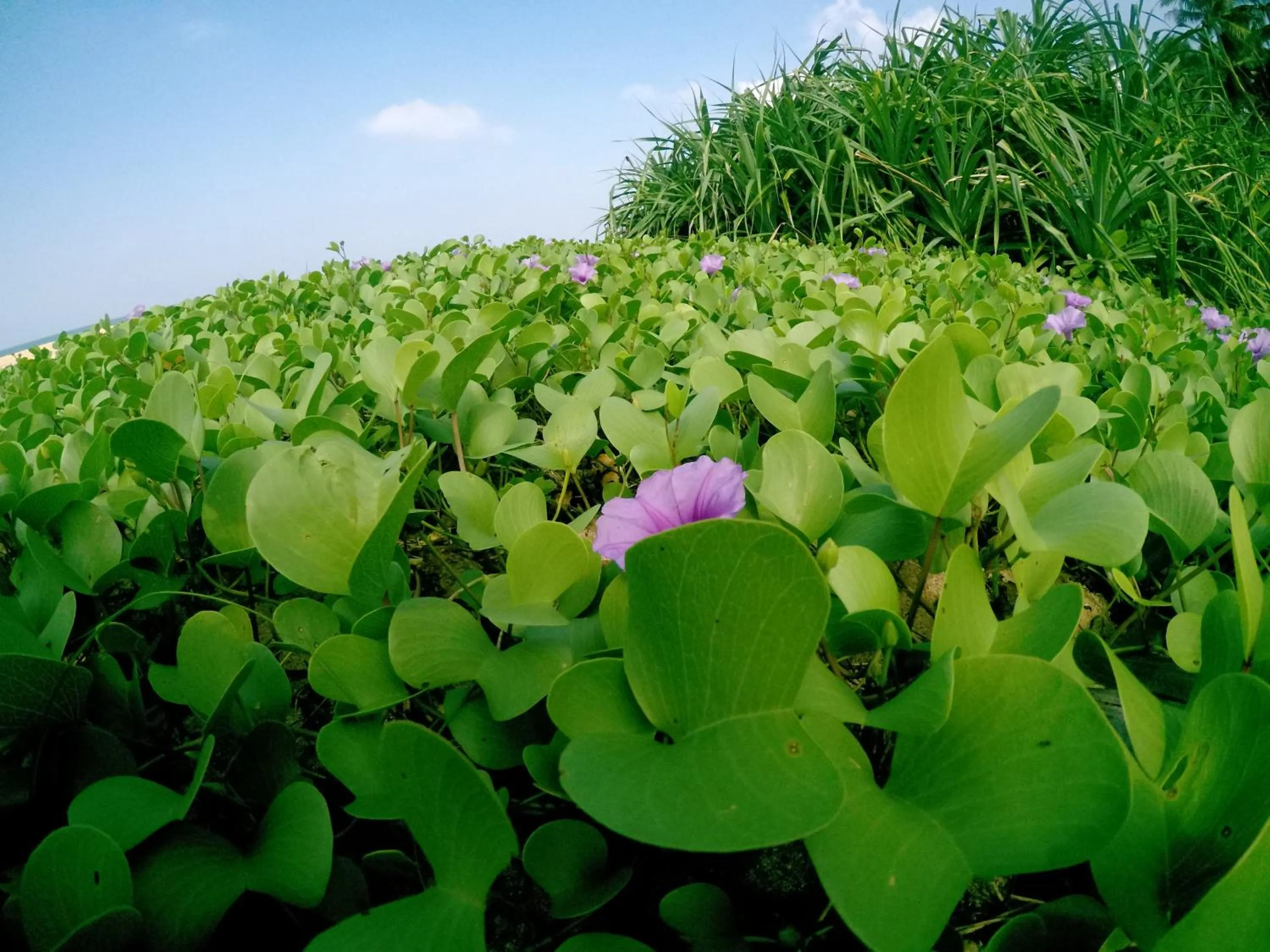 Beach in Susee Villa