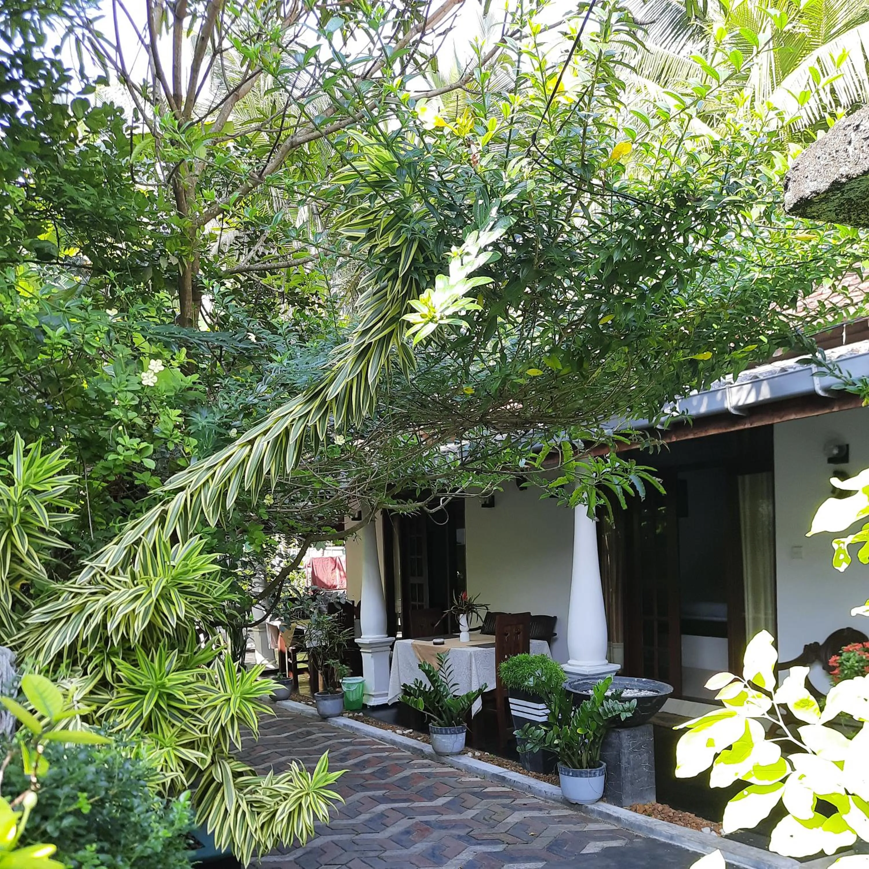 Garden in Susee Villa