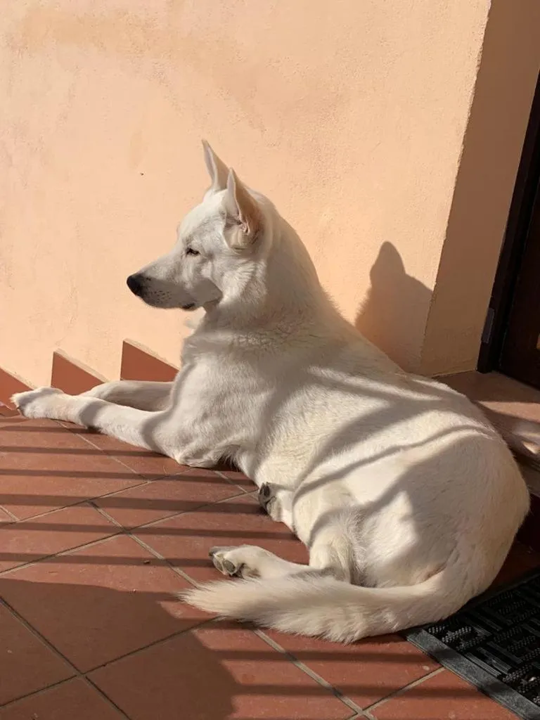 Boutique B&B Dolce Far Niente