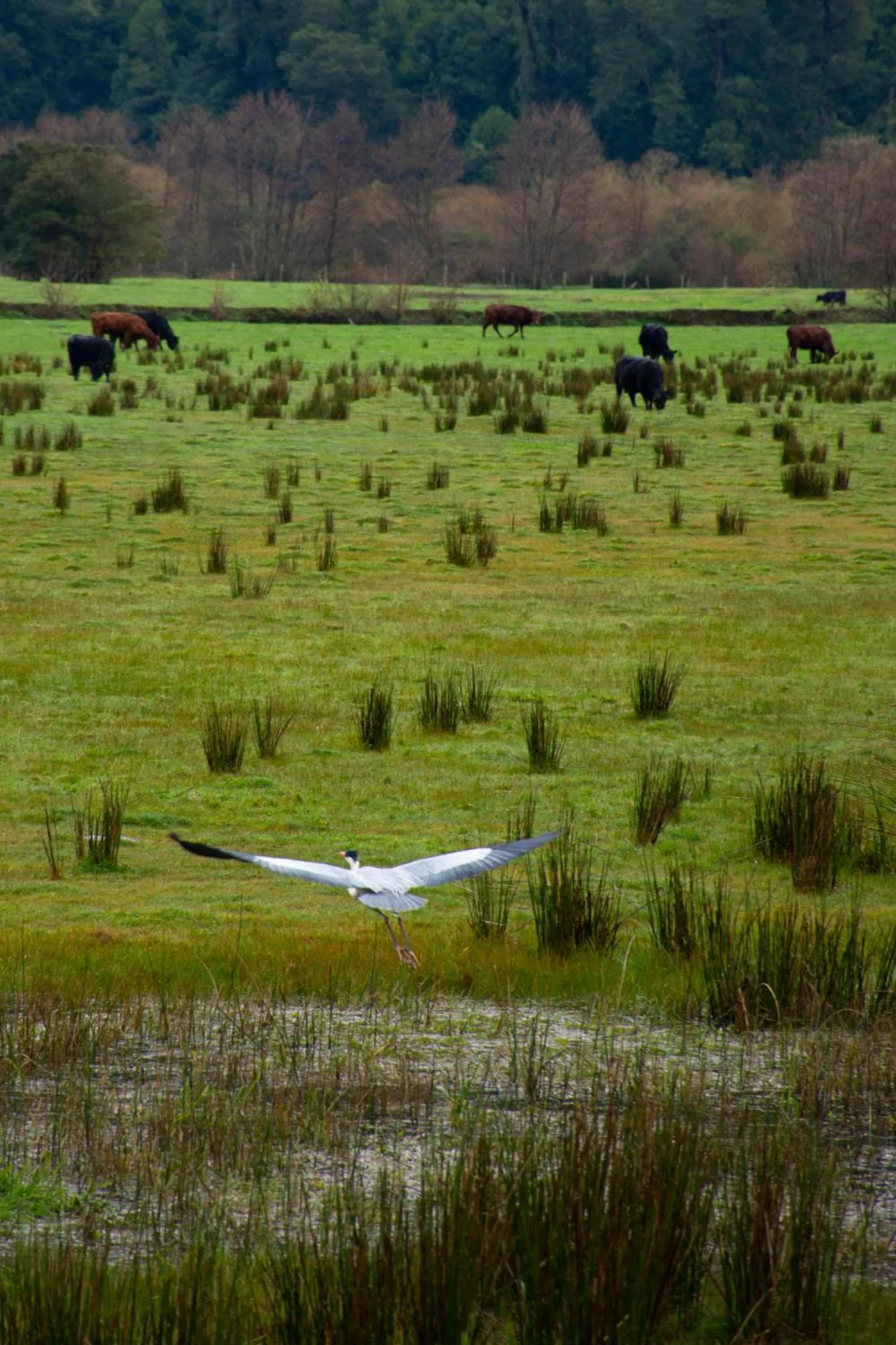 Summer in Hotel Natura