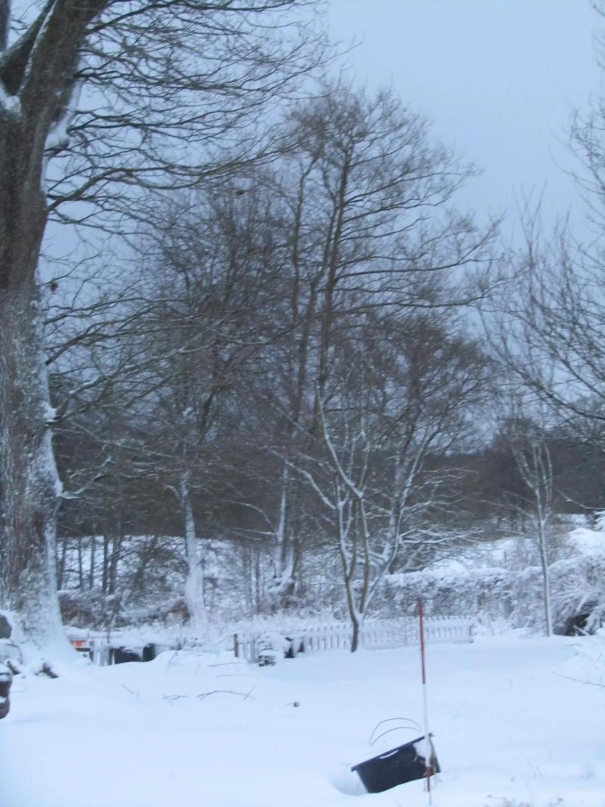 Natural landscape in au-magasin