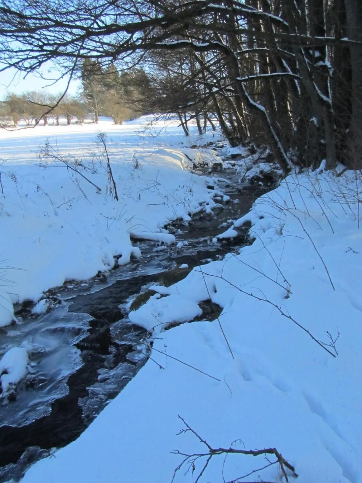 Natural landscape in au-magasin