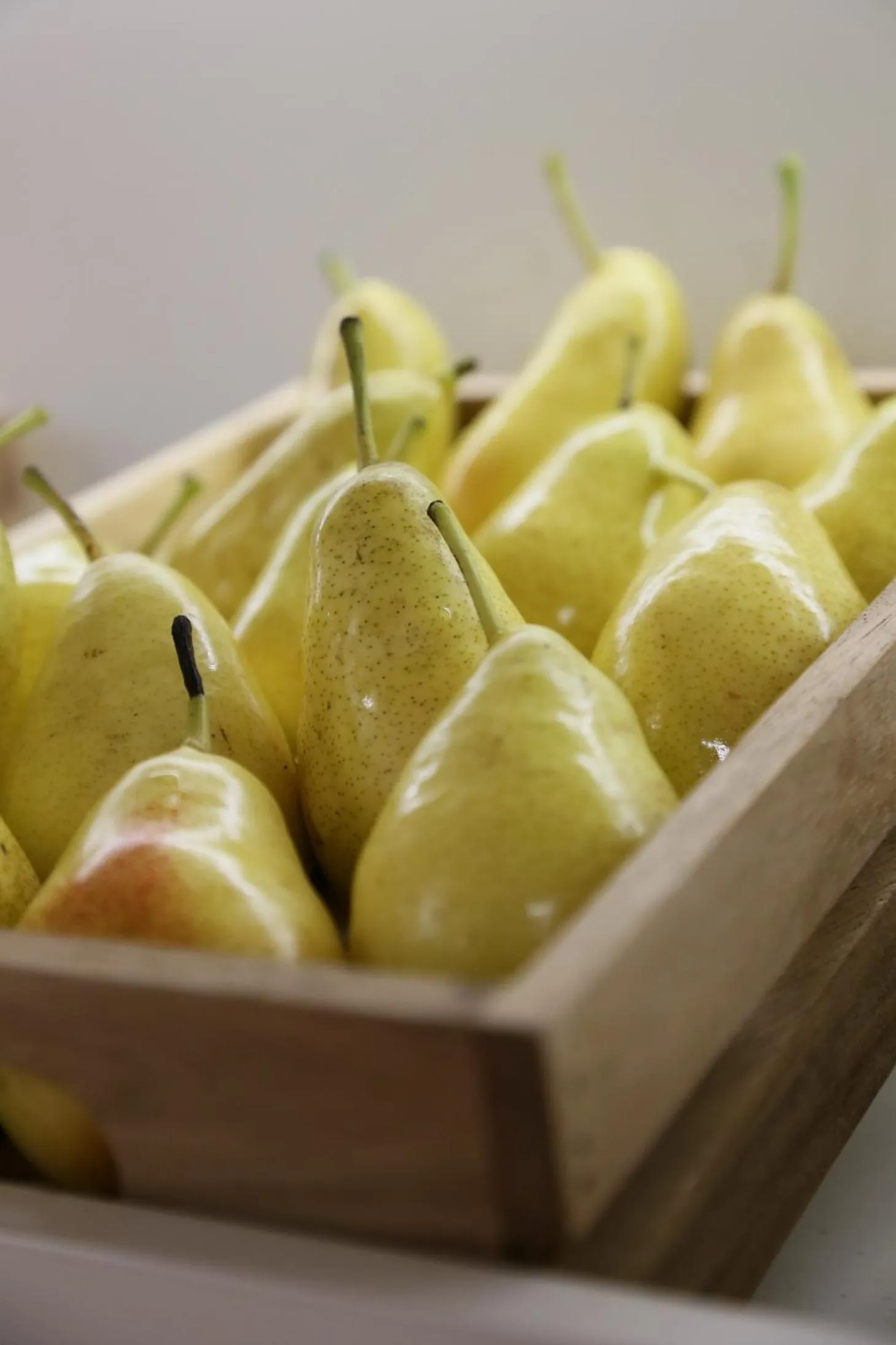 Food and drinks in ASTORIA Hotel & Medical Spa