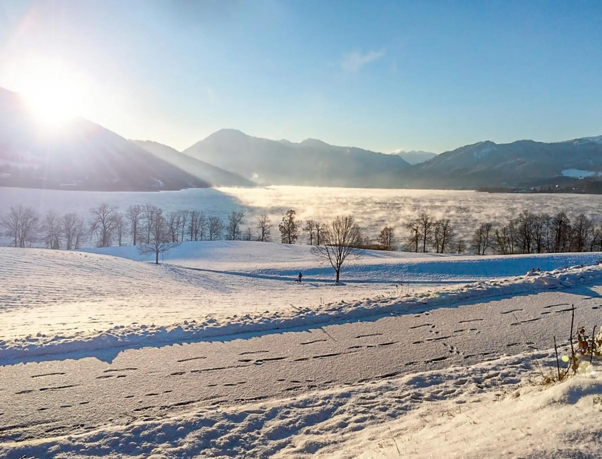 Natural landscape in Hotel Alpenhof