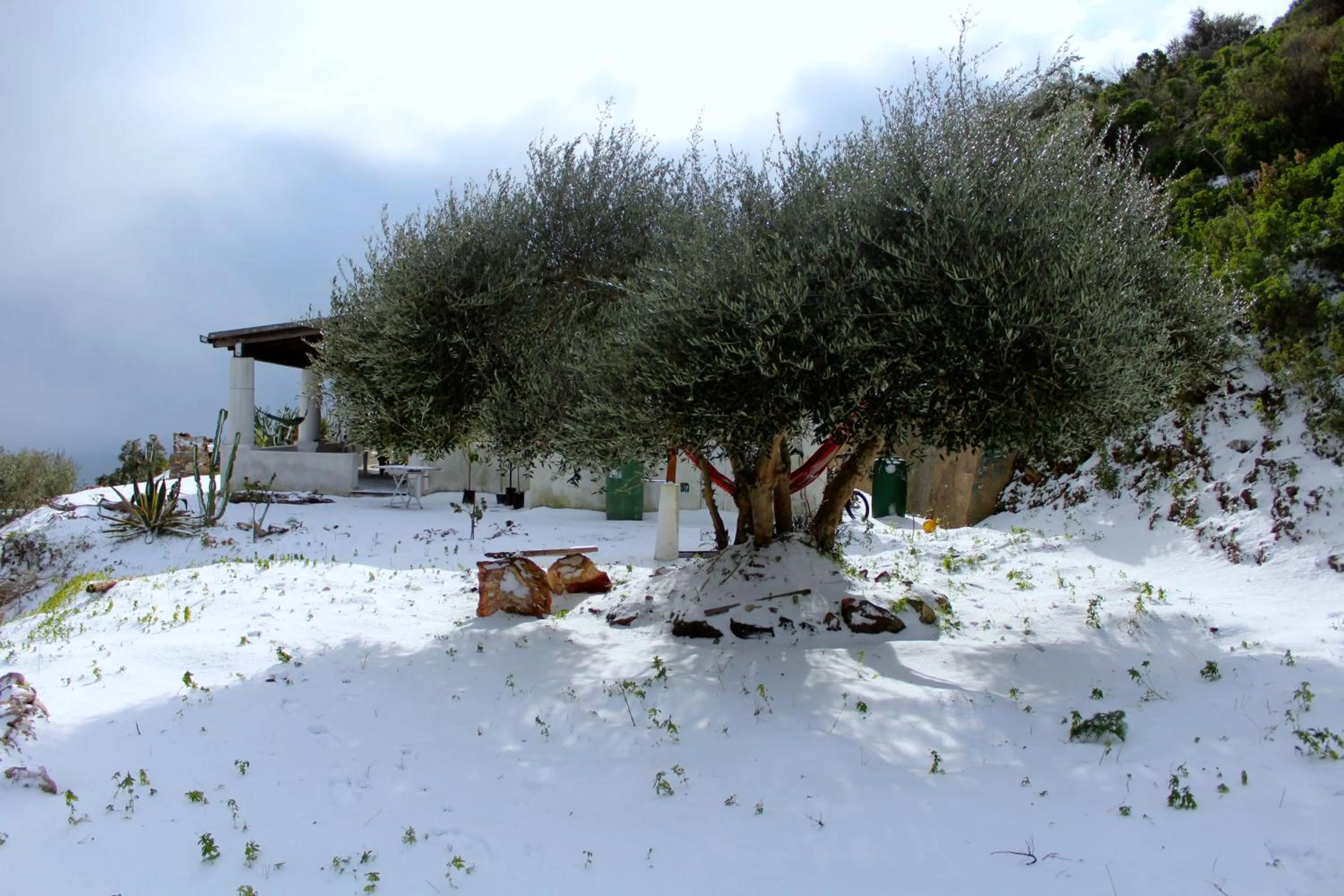 Winter in al numero zero