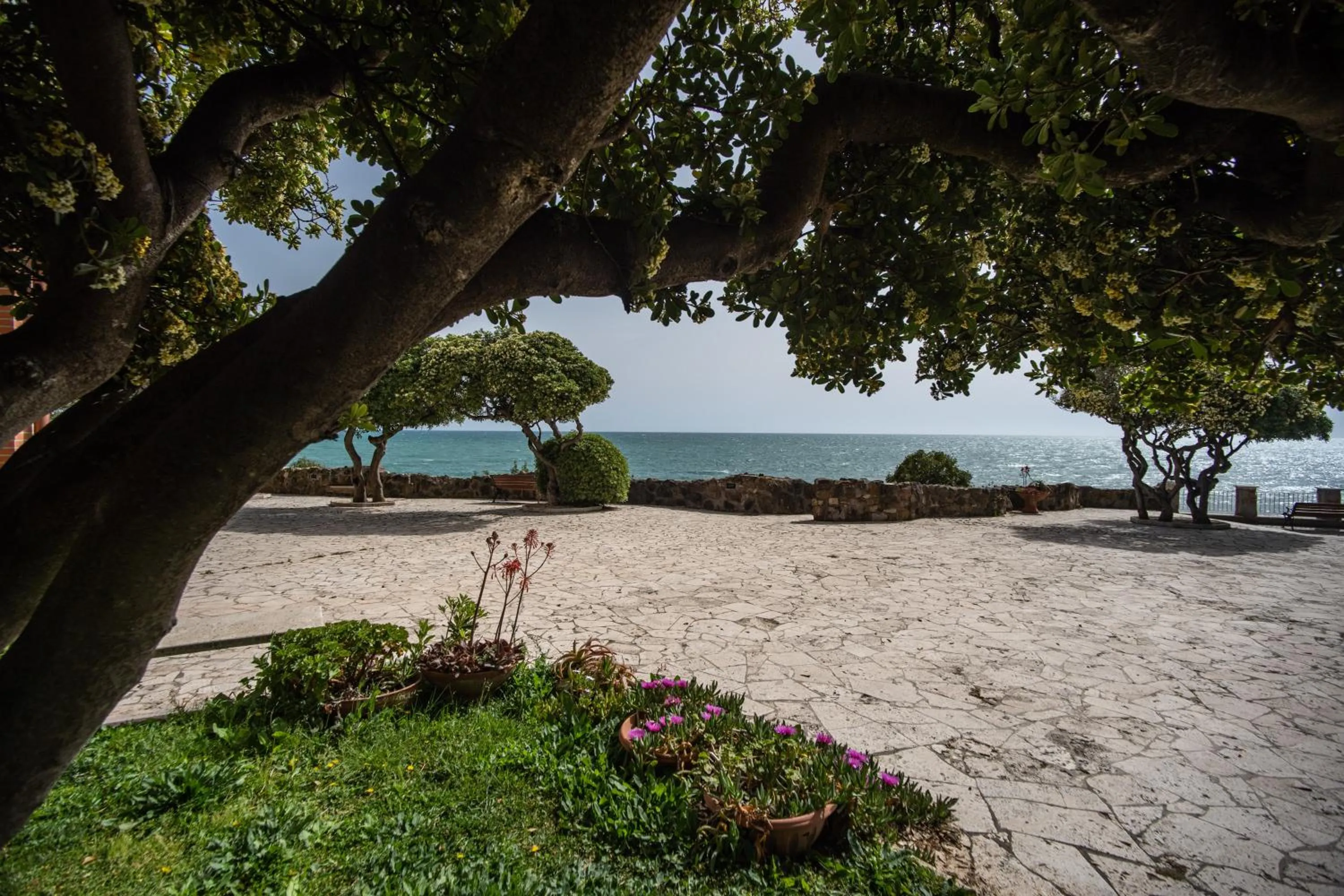 Garden in Villa MG Hotel