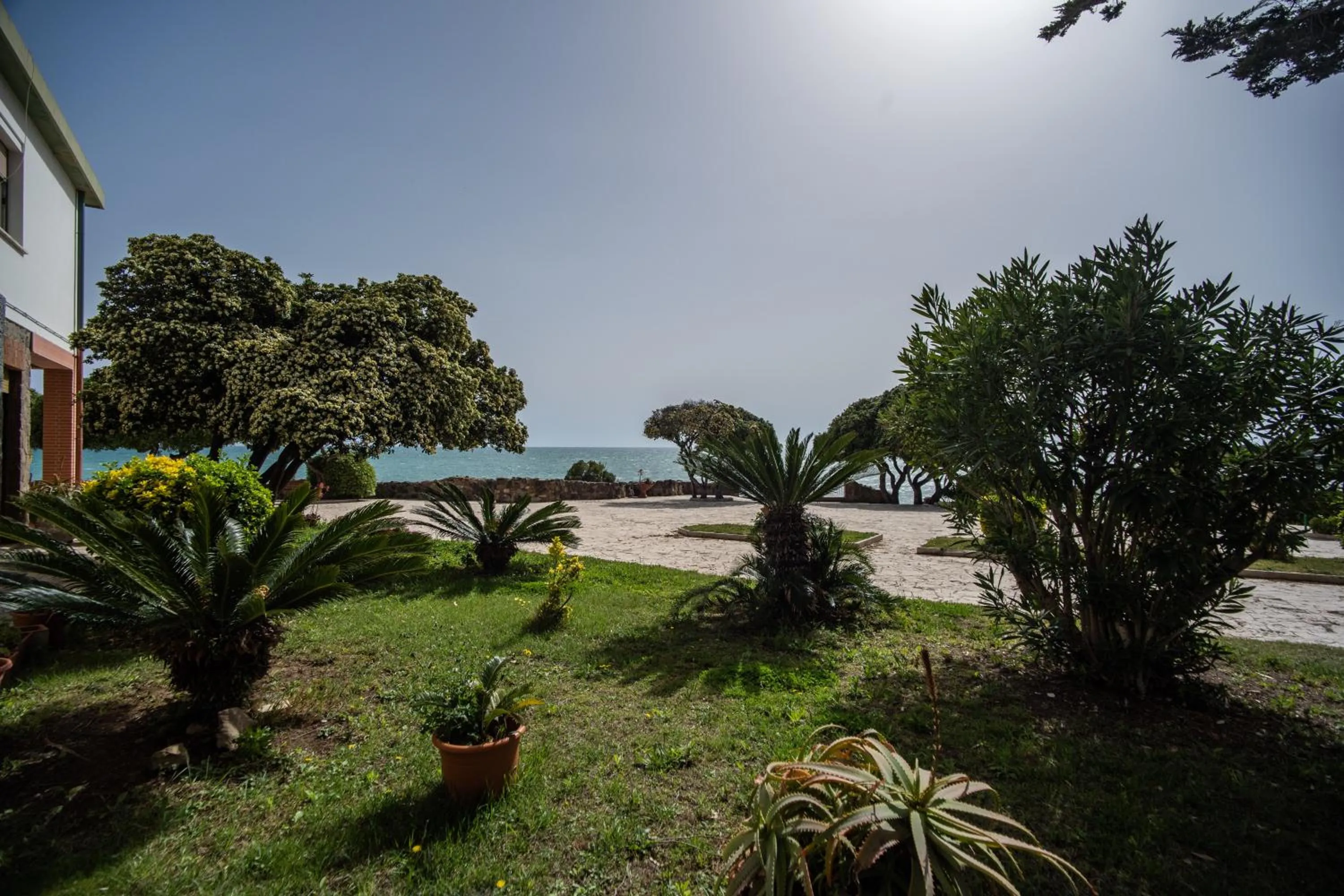 Garden view in Villa MG Hotel