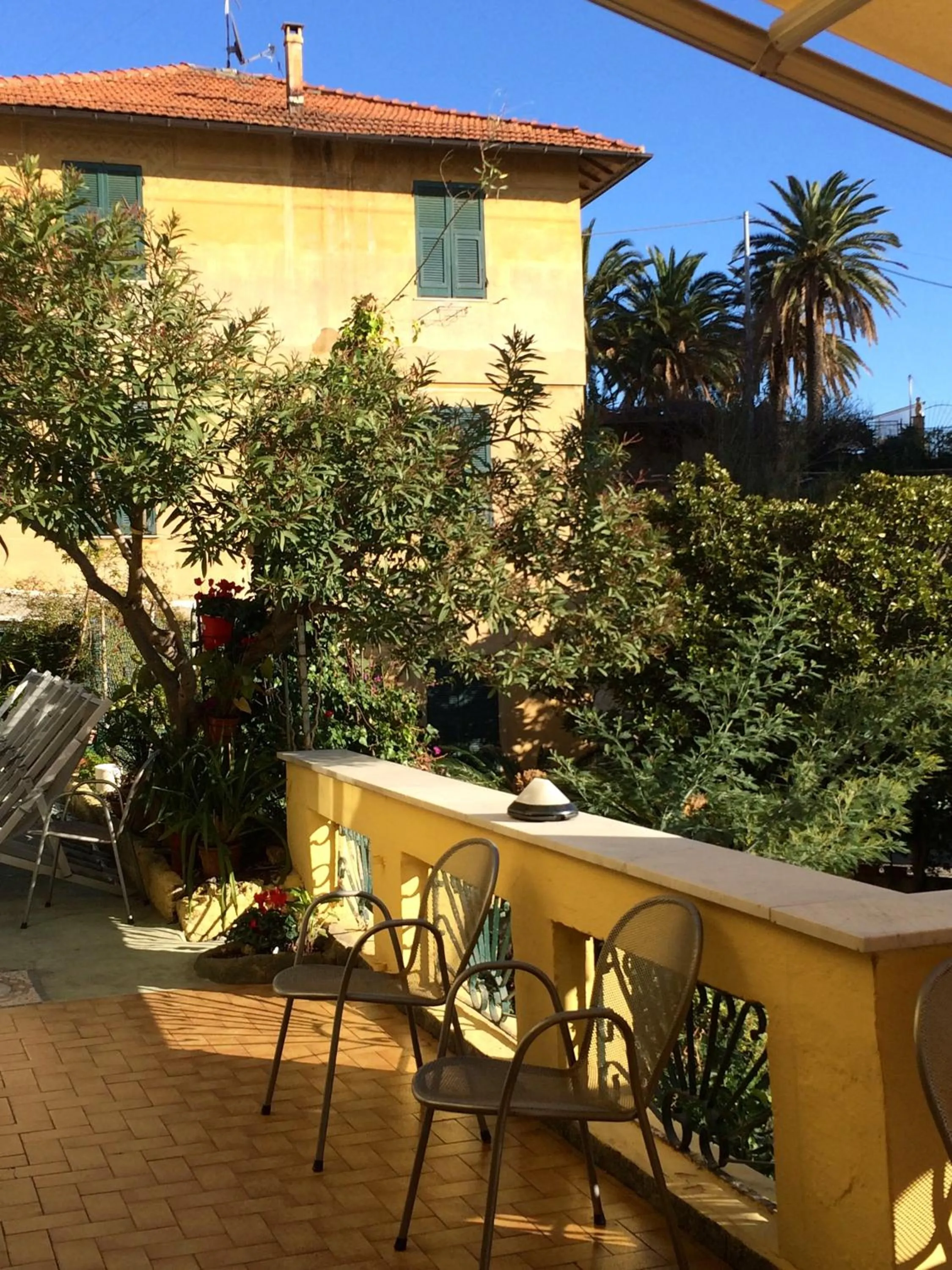 Garden in Hotel Azzurro