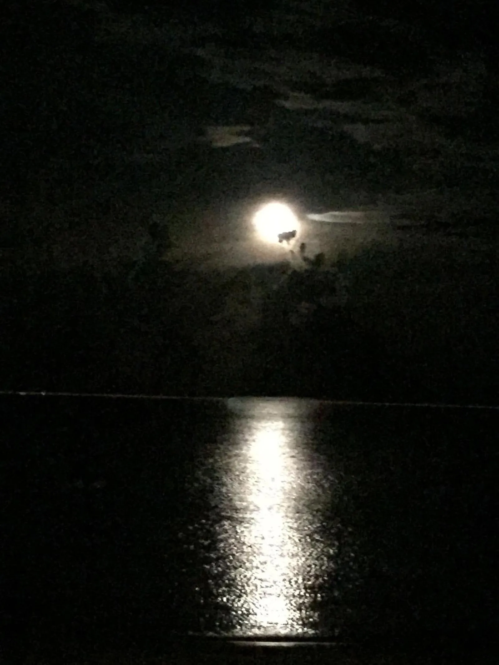 Night in Sand in My Shoes Beach Loft