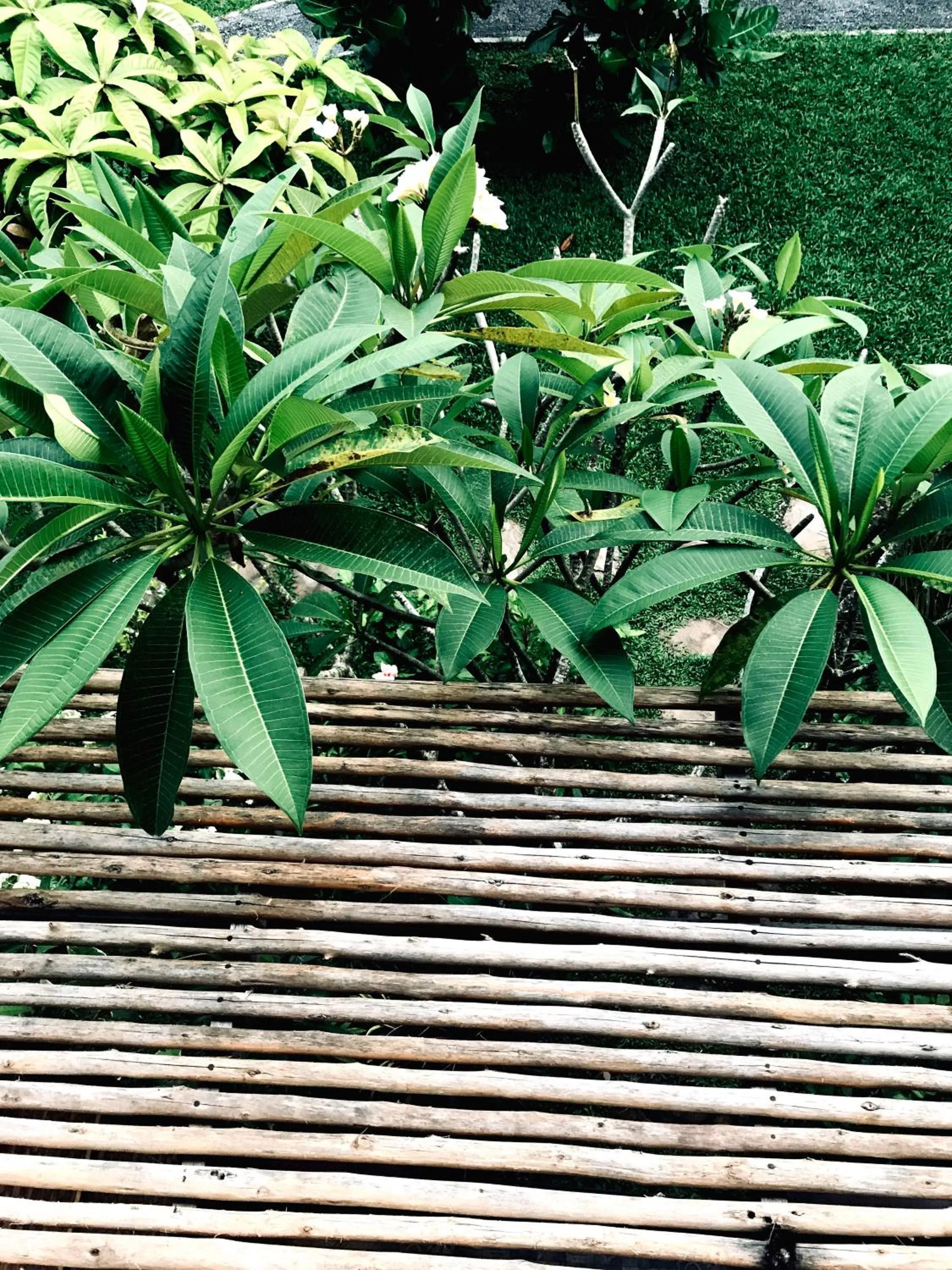 Day in Sand in My Shoes Beach Loft