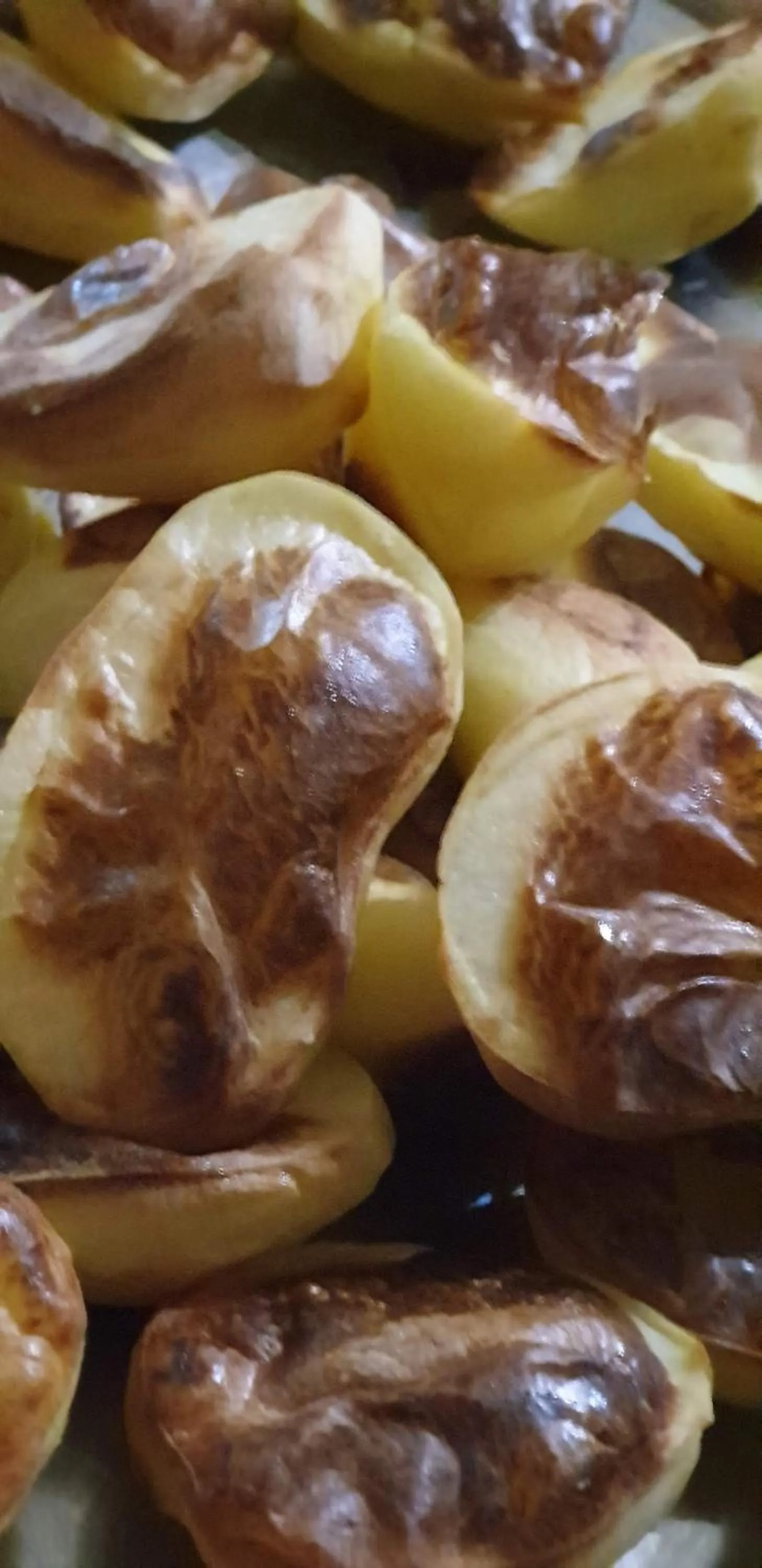 Restaurant/places to eat in Hotel Mirni Kutak