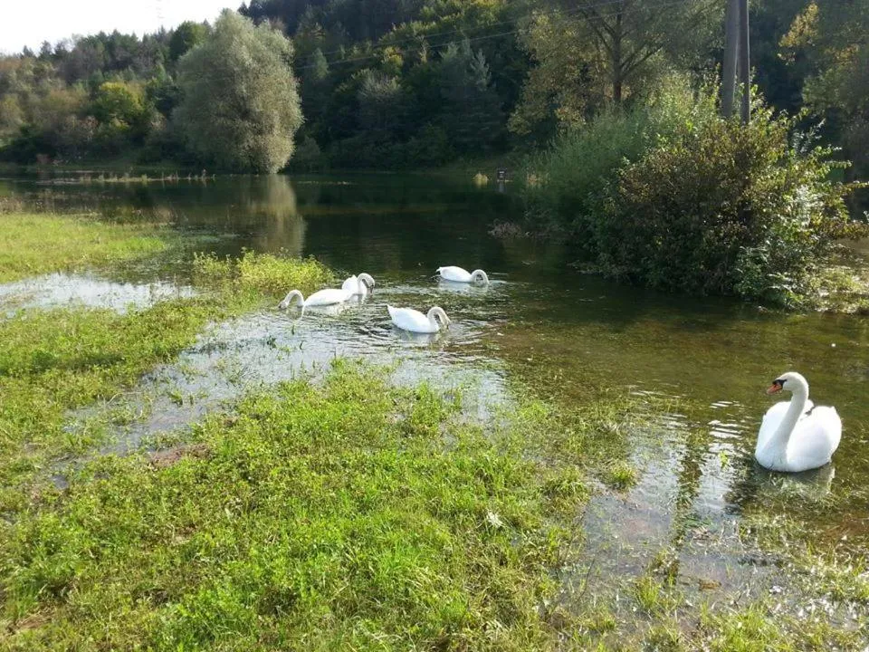 Area and facilities in Hotel Mirni Kutak