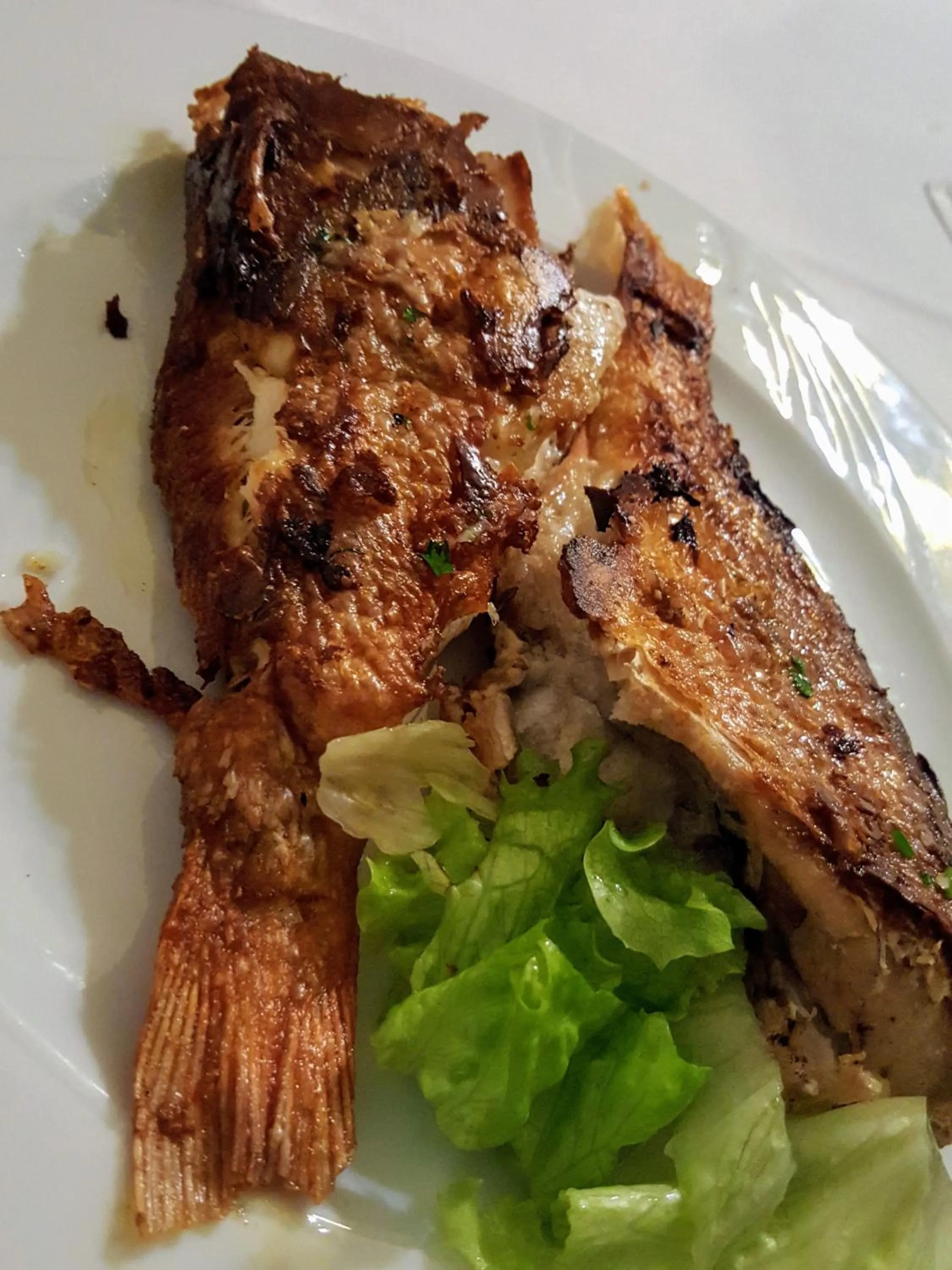 Restaurant/places to eat in Hotel Mirni Kutak