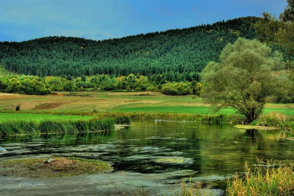 Area and facilities in Hotel Mirni Kutak