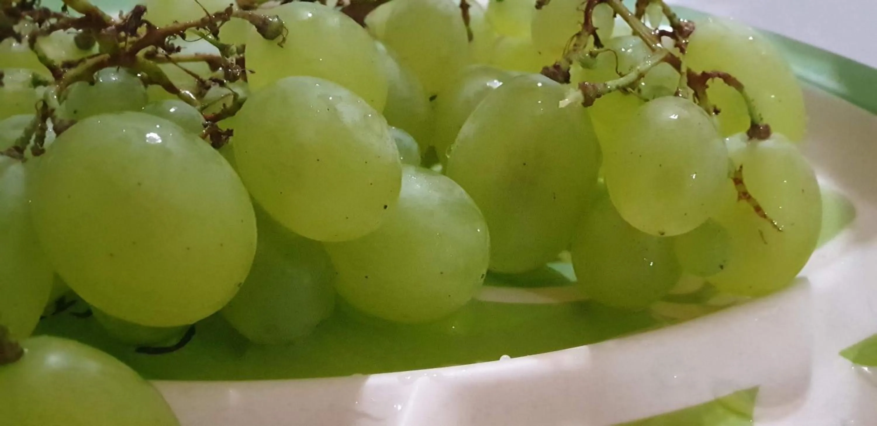 Restaurant/places to eat in Hotel Mirni Kutak