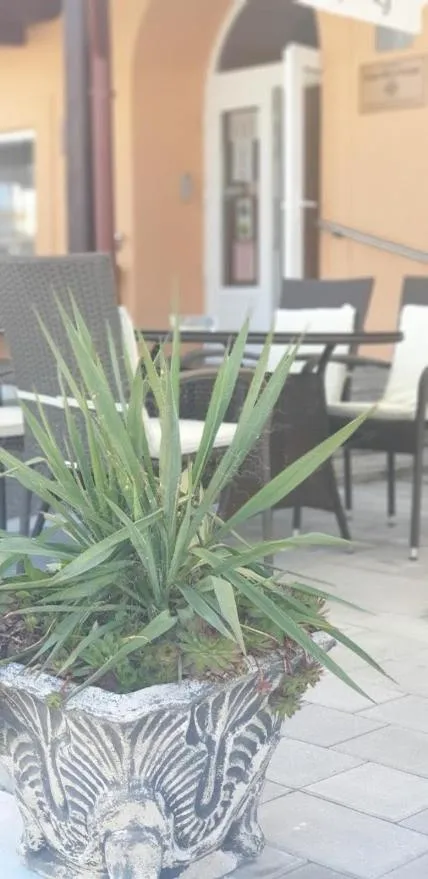 Balcony/Terrace in Hotel Mirni Kutak