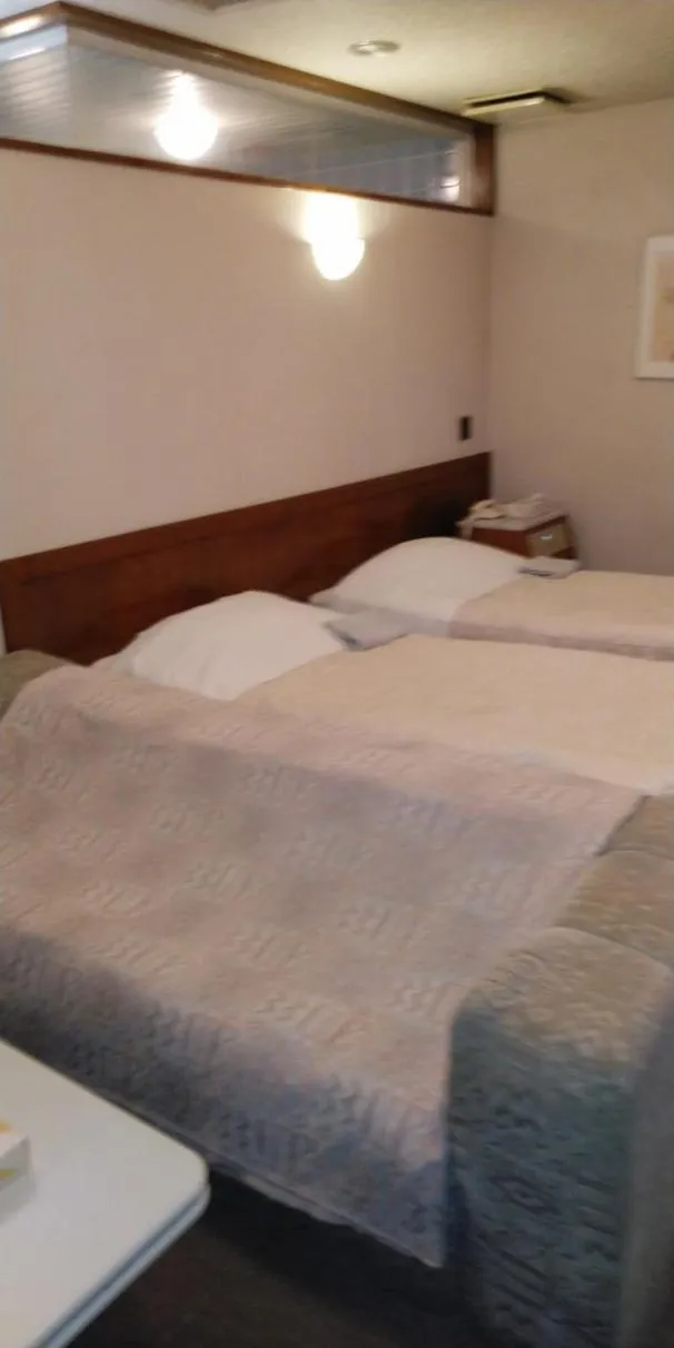 Hotel Civic Inn Sayama