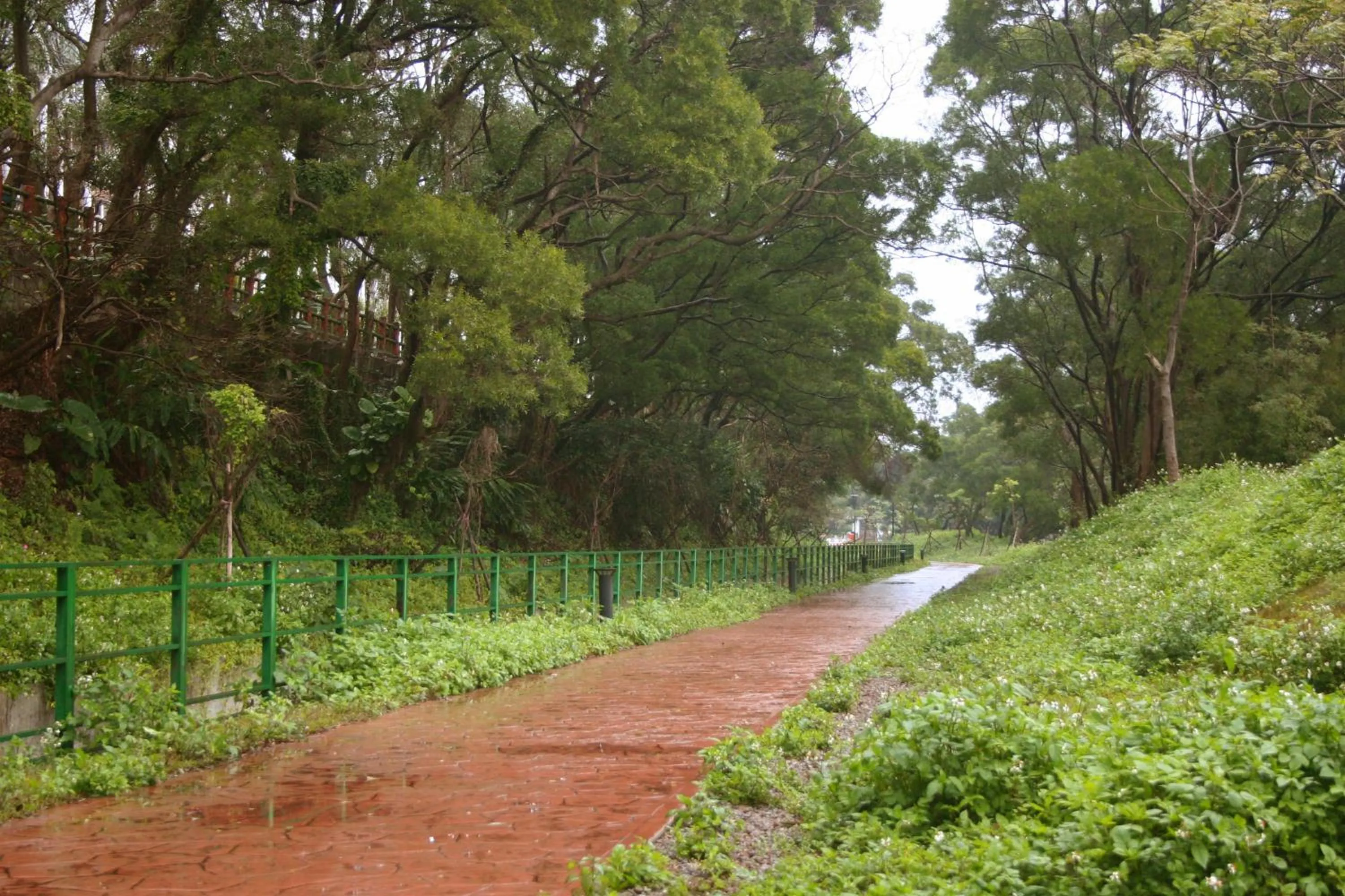 Natural landscape in Point Motel