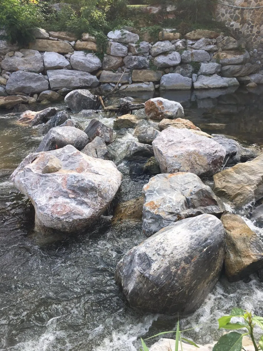 Natural landscape in Tharapana Khaoyai Resort