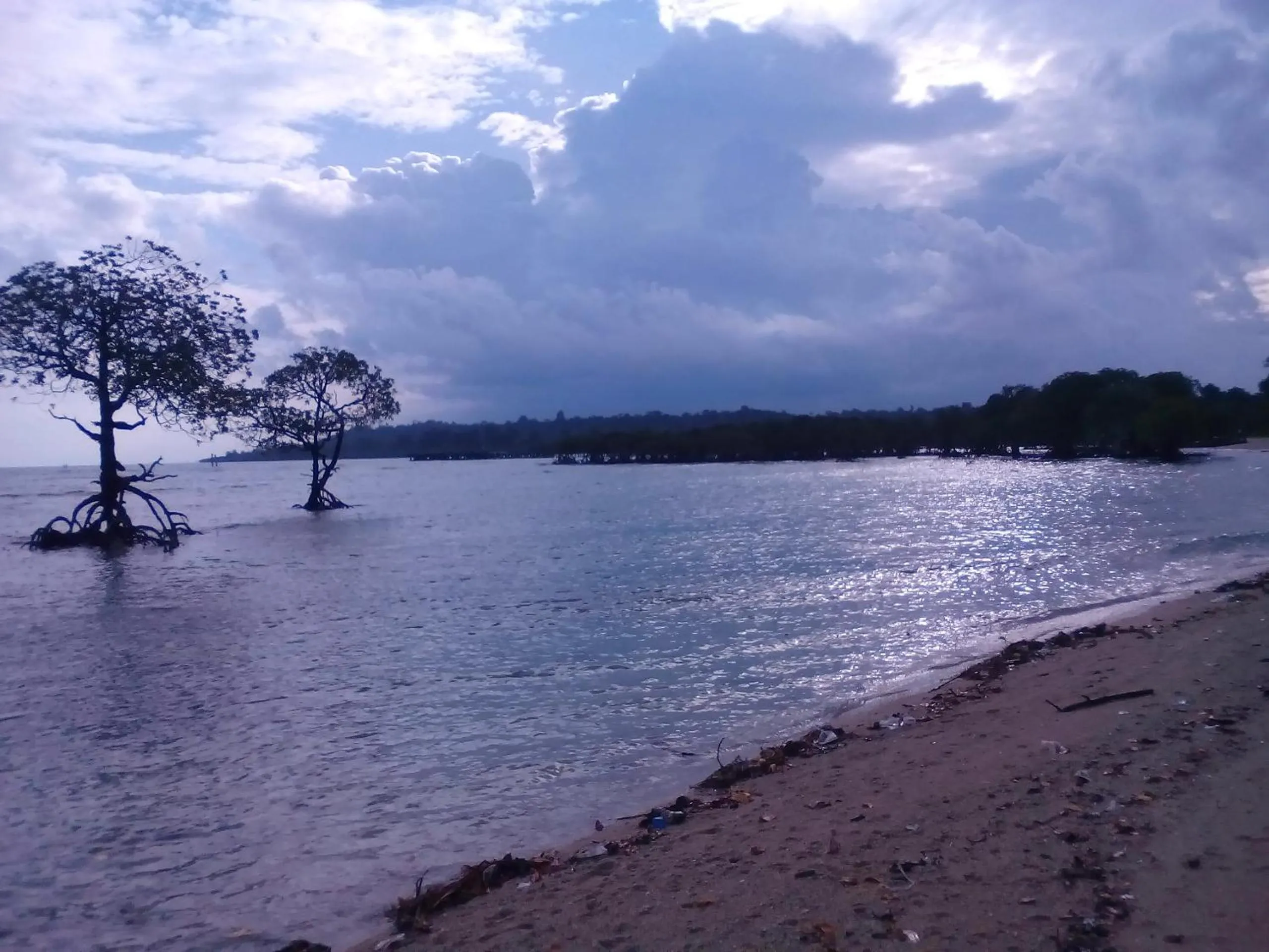 Sea view in Coconhuts Beach Resort