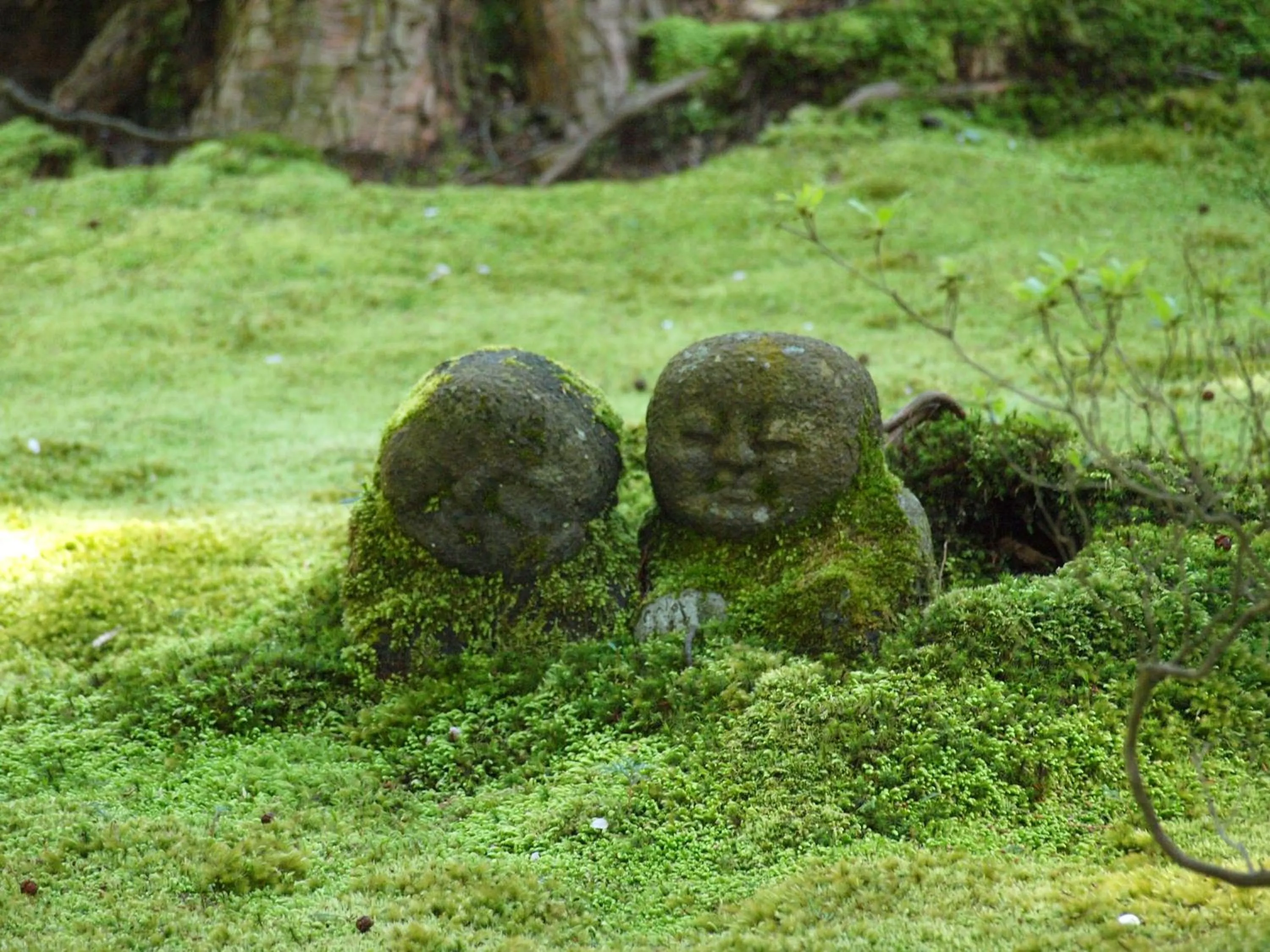 Off site in Hotel M's Est Shijo Karasuma