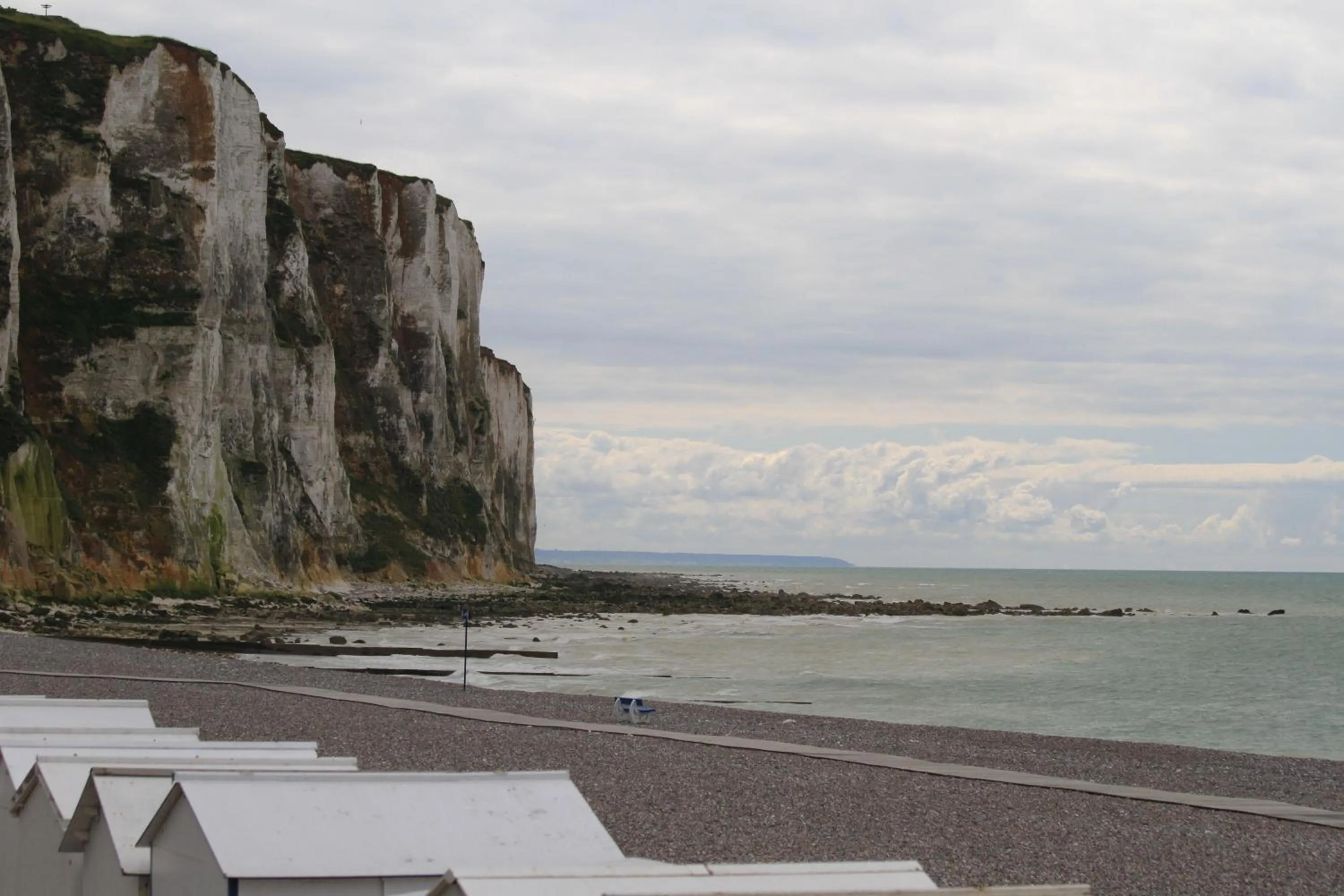 Activities in Le chant des oiseaux