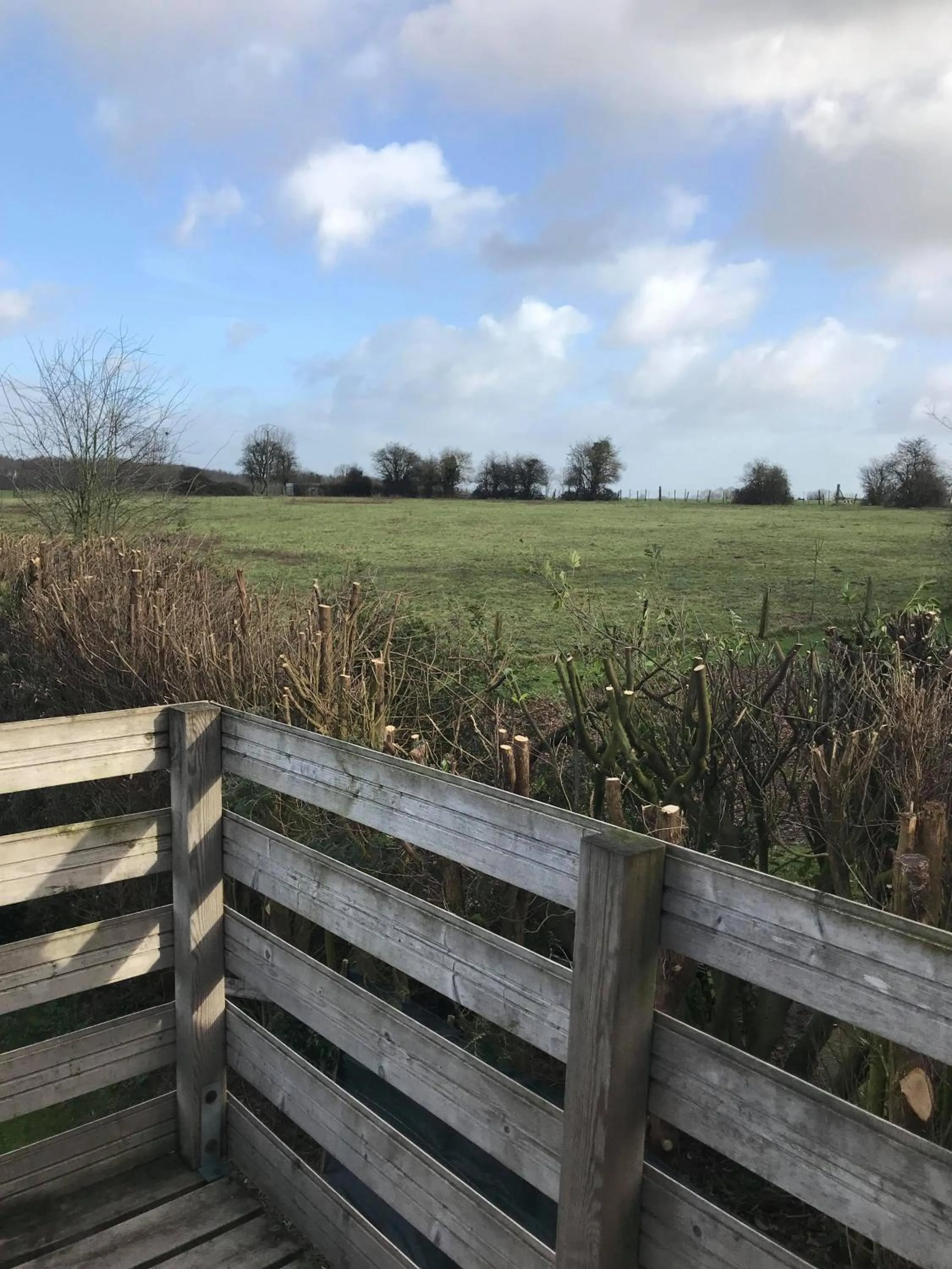 Natural landscape in Le chant des oiseaux