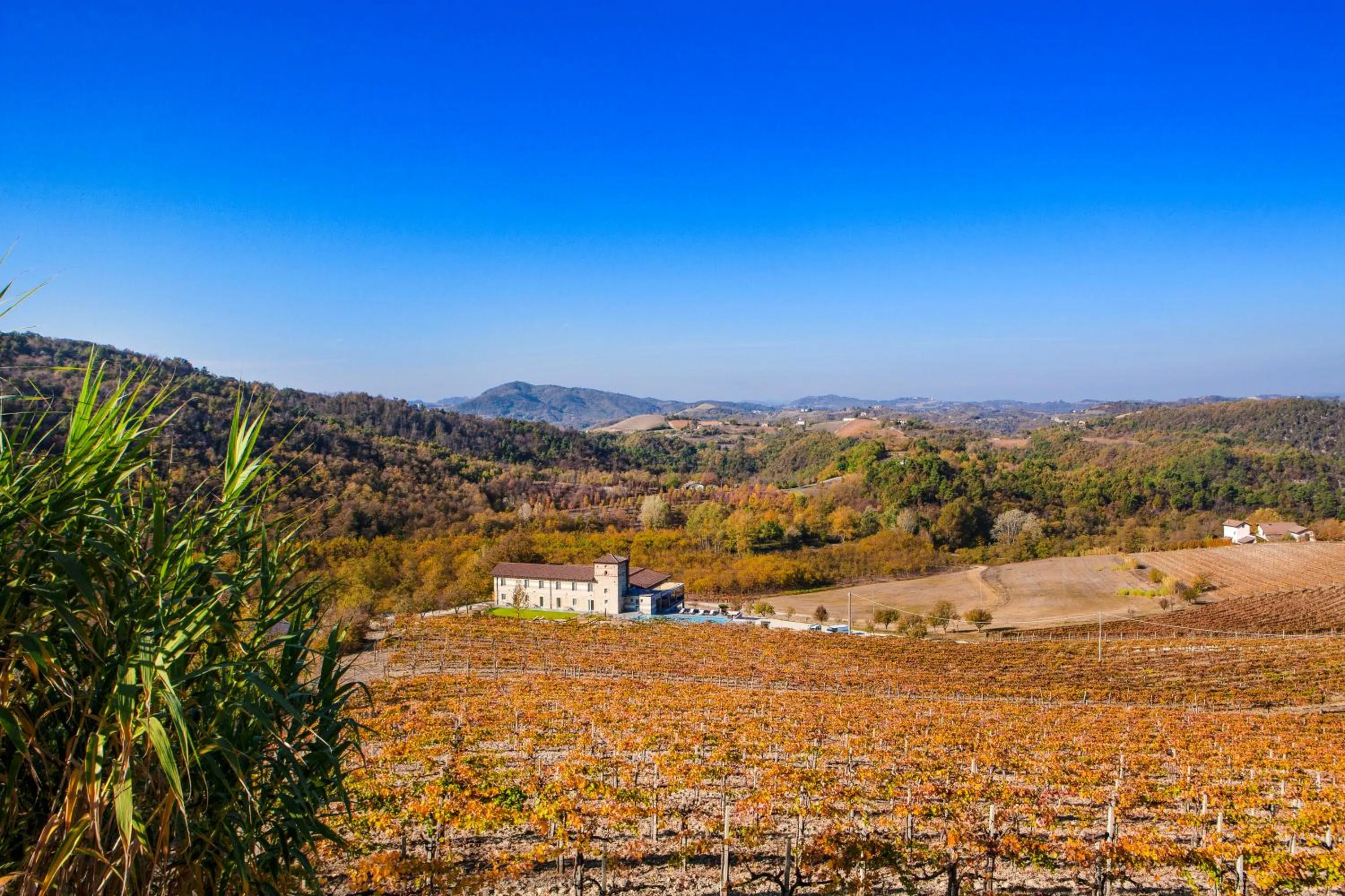 Bird's eye view in Hemanaire