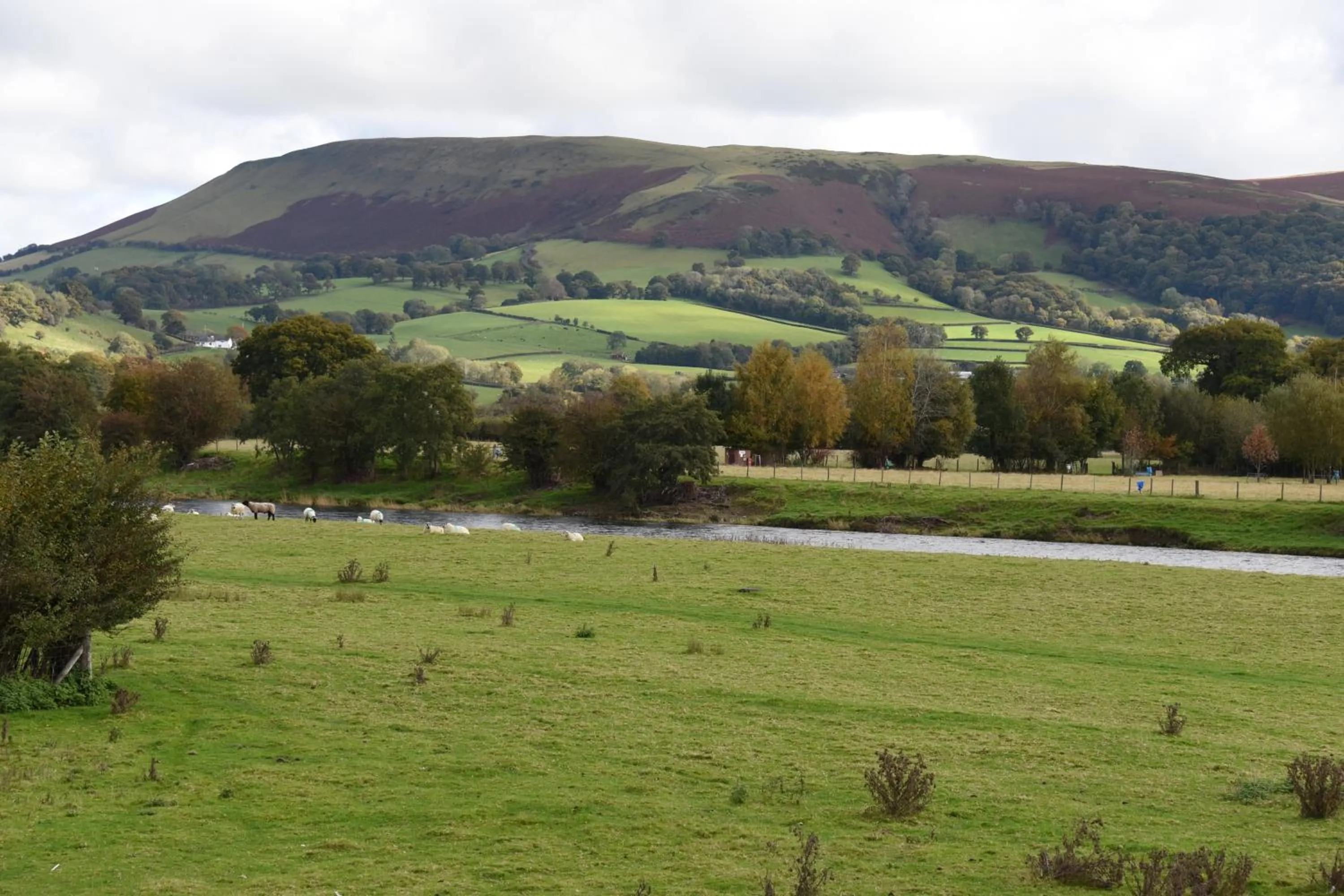 The Llanelwedd Arms Hotel