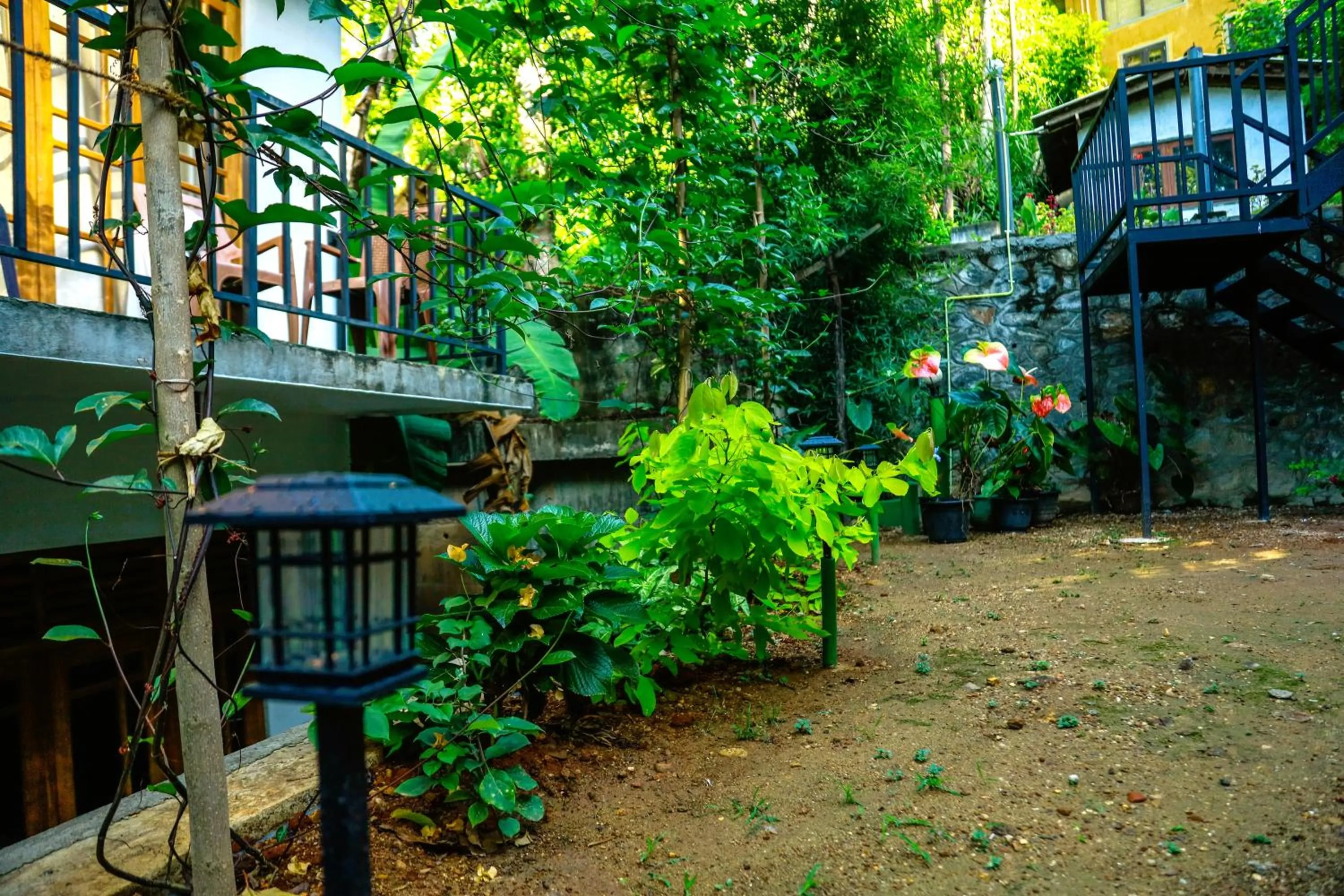 Garden in Dinaro Guest