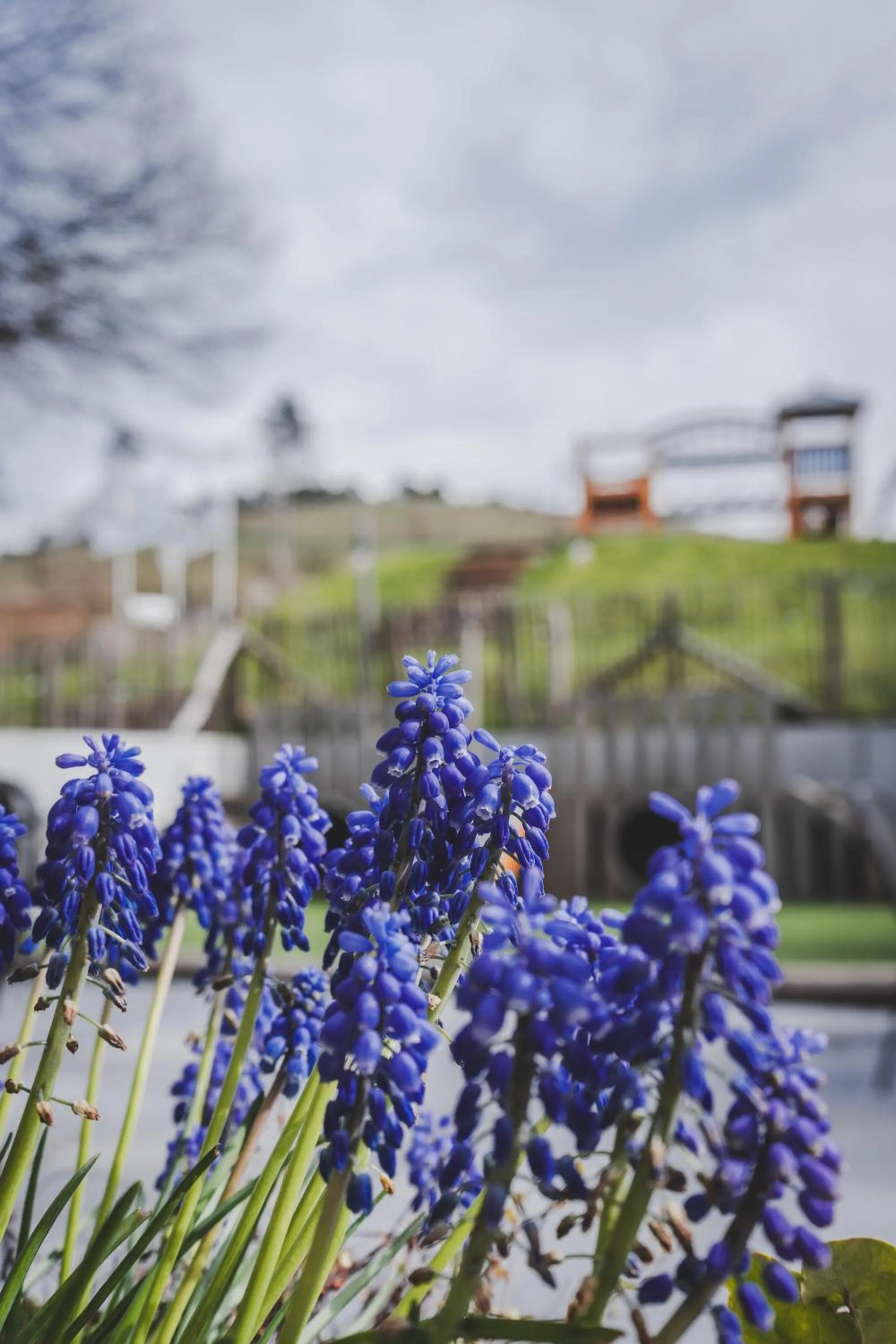 Garden in Mont-des-Pins