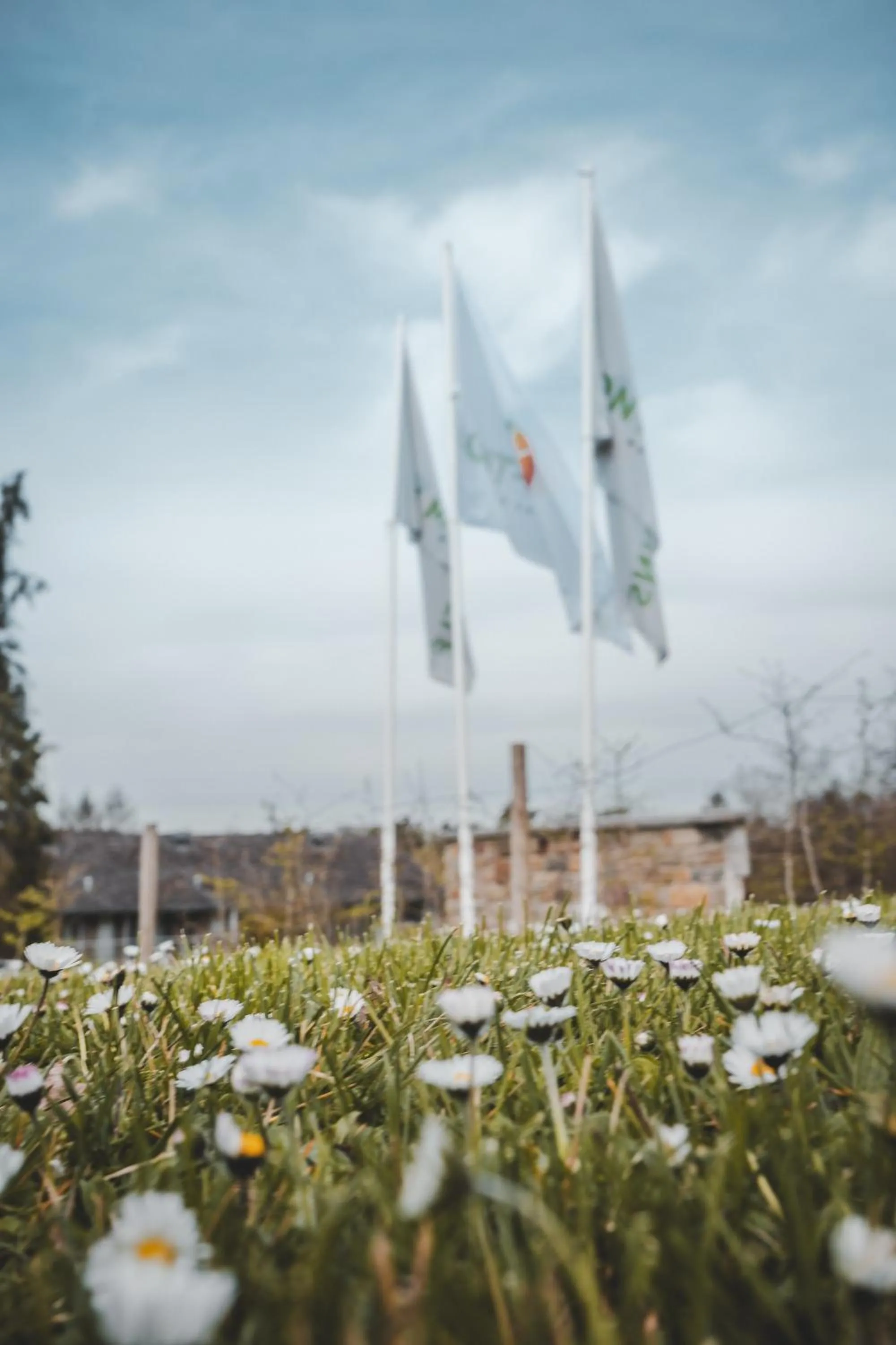 Spring in Mont-des-Pins