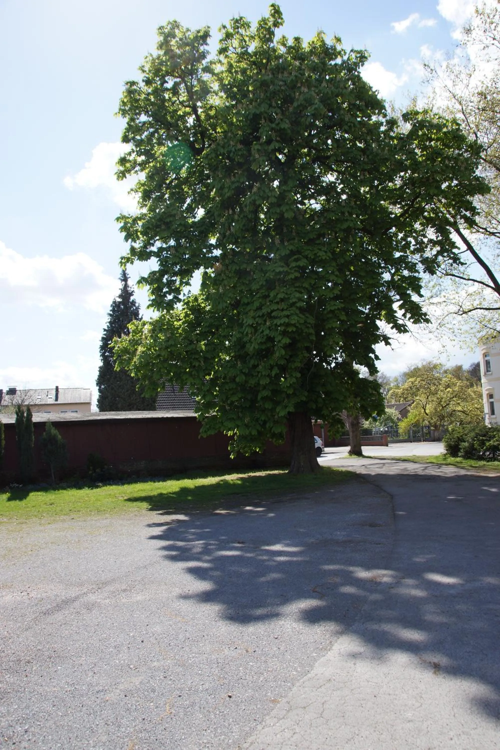 Area and facilities in Hotel Jägerhof