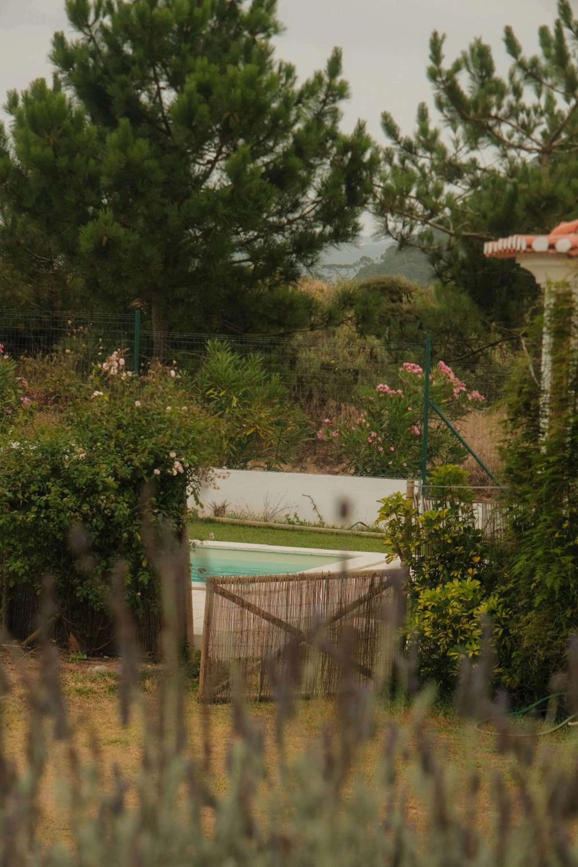 Garden view in Quinta Amarela - B&B