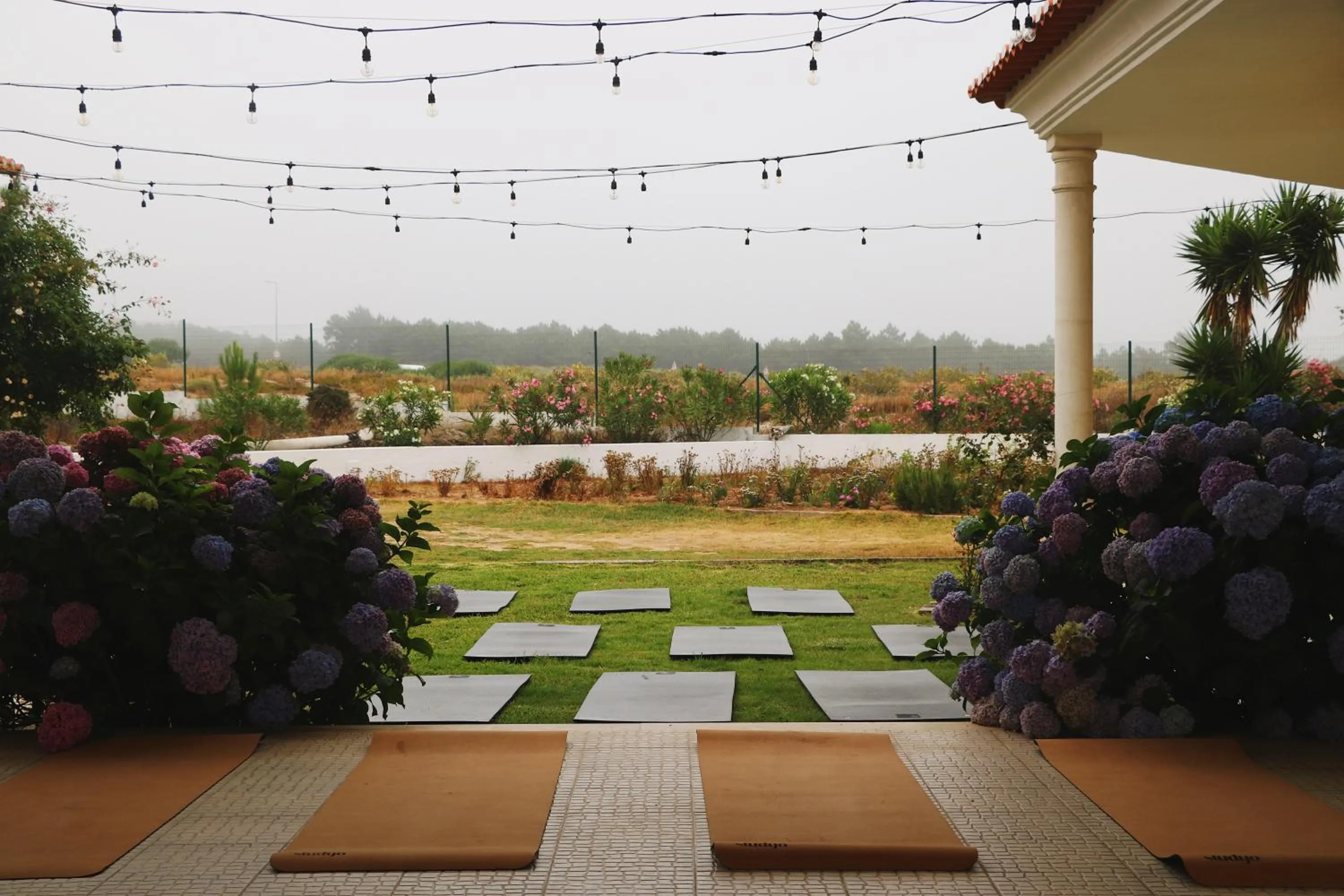 Garden in Quinta Amarela - B&B