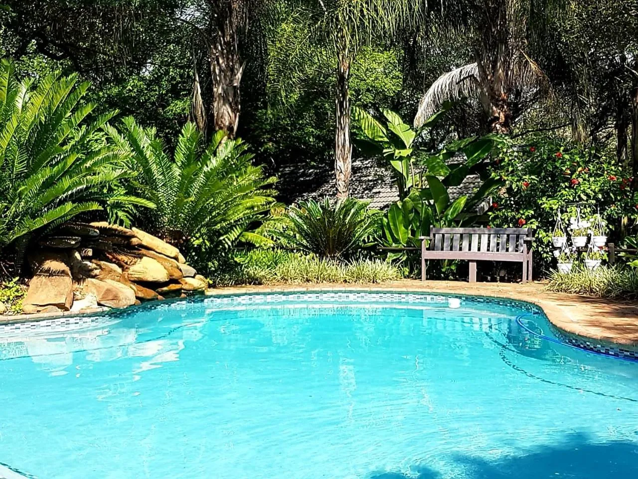 Pool view in Shingalana Guest Lodge