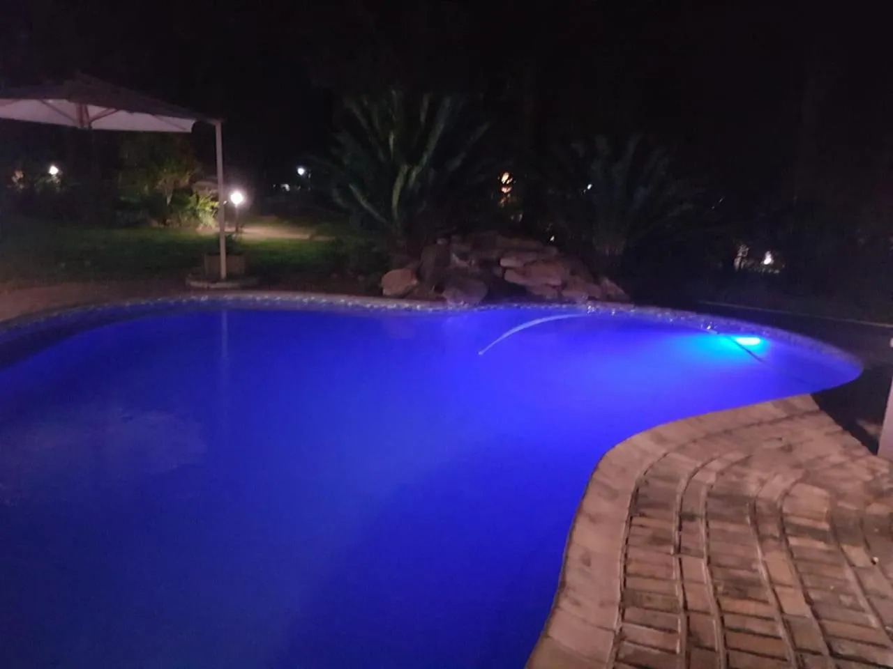 Pool view in Shingalana Guest Lodge