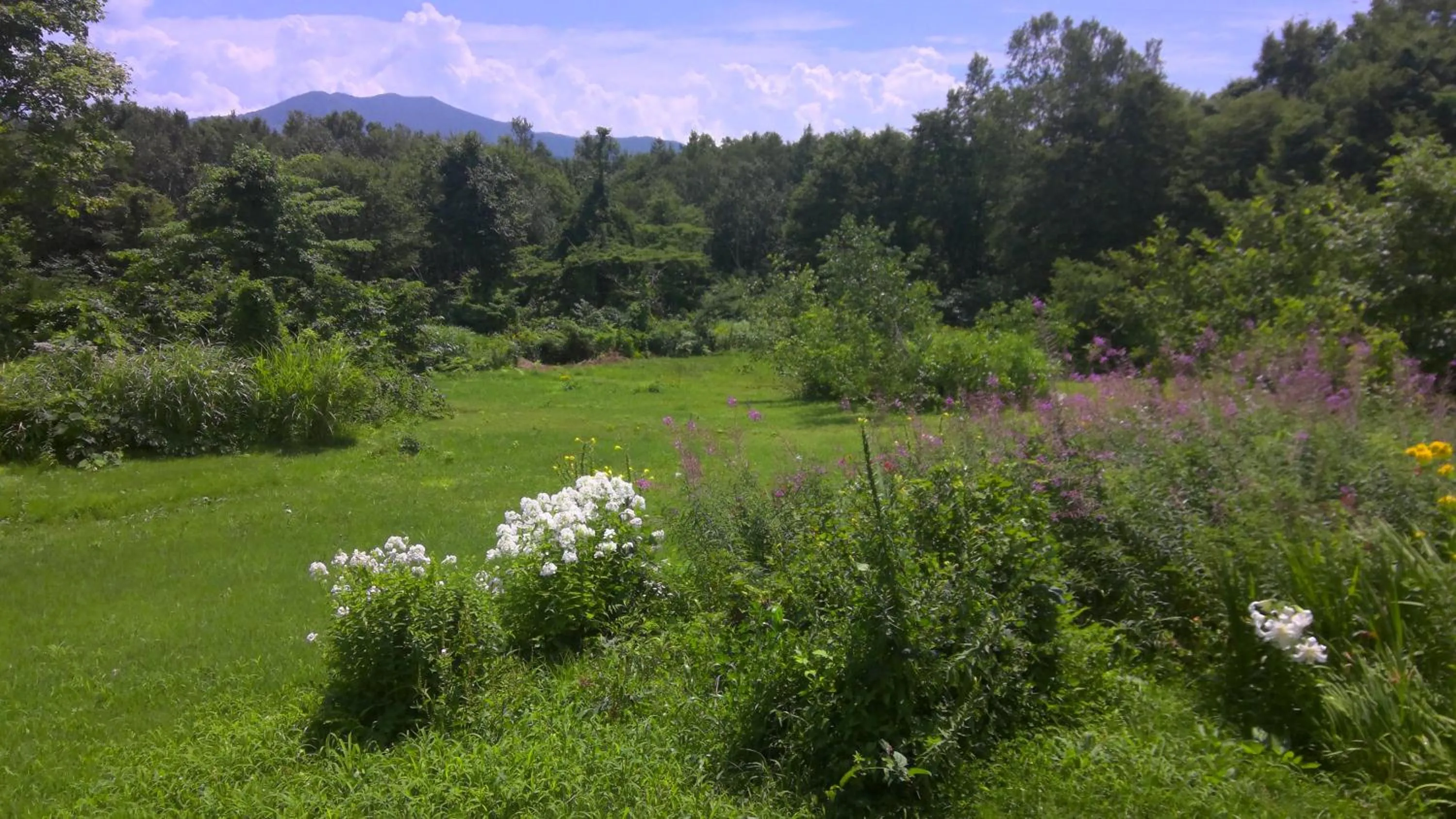 Property building in Lodge Amenouo