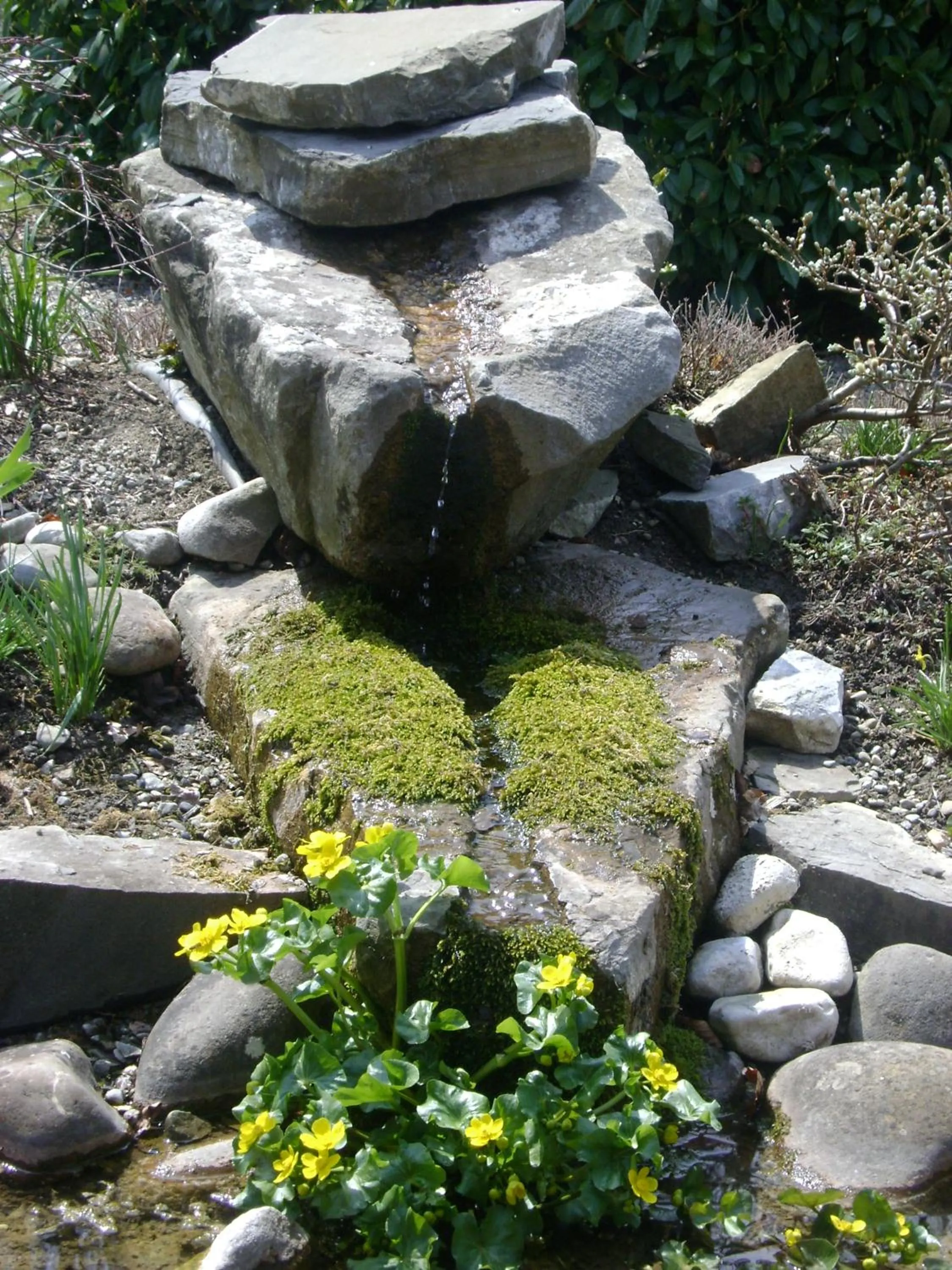 Property building in Burgbühl