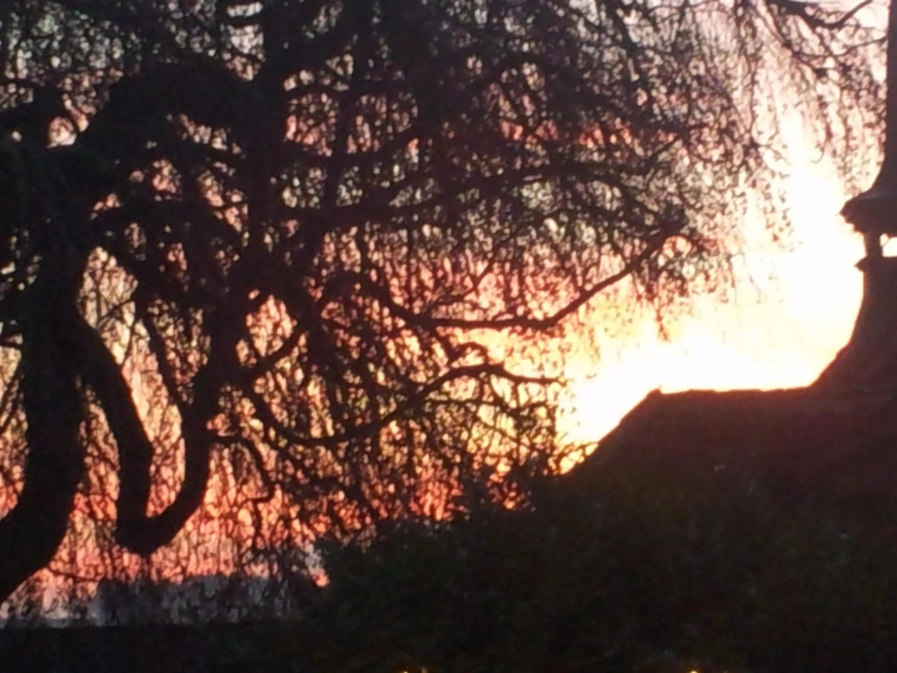 Natural landscape in Burgbühl