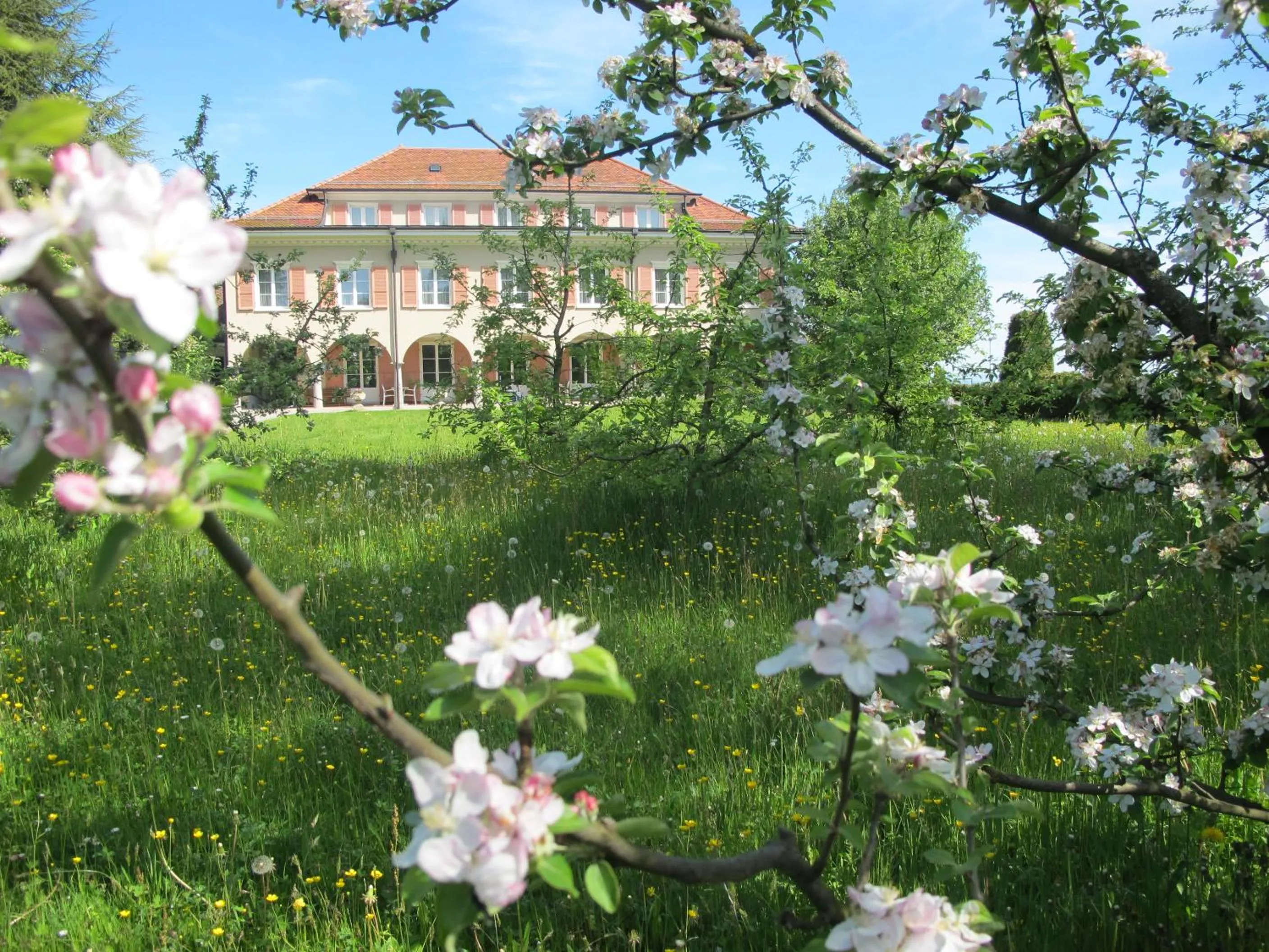 Natural landscape in Burgbühl