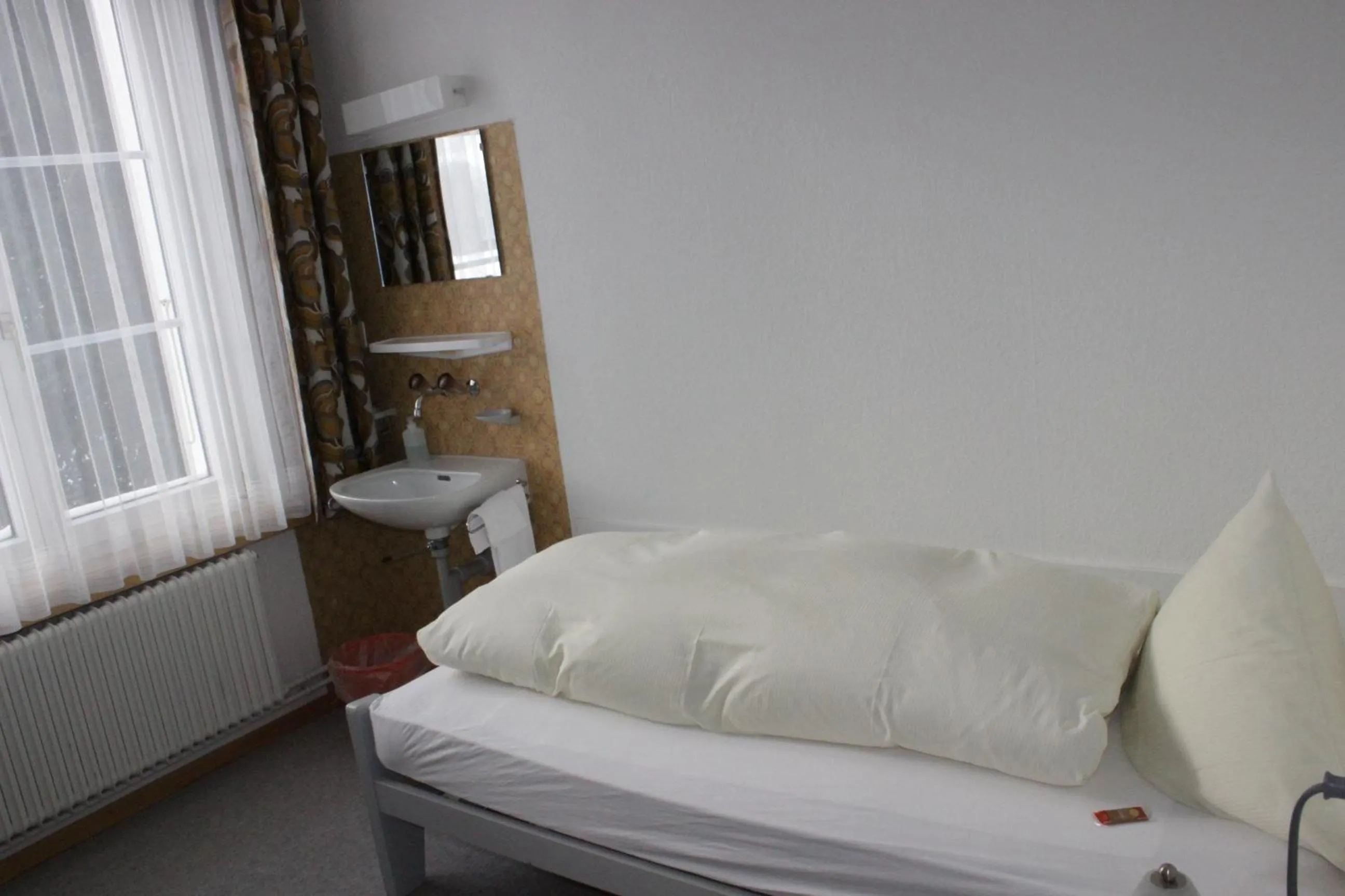 View (from property/room) in Burgbühl