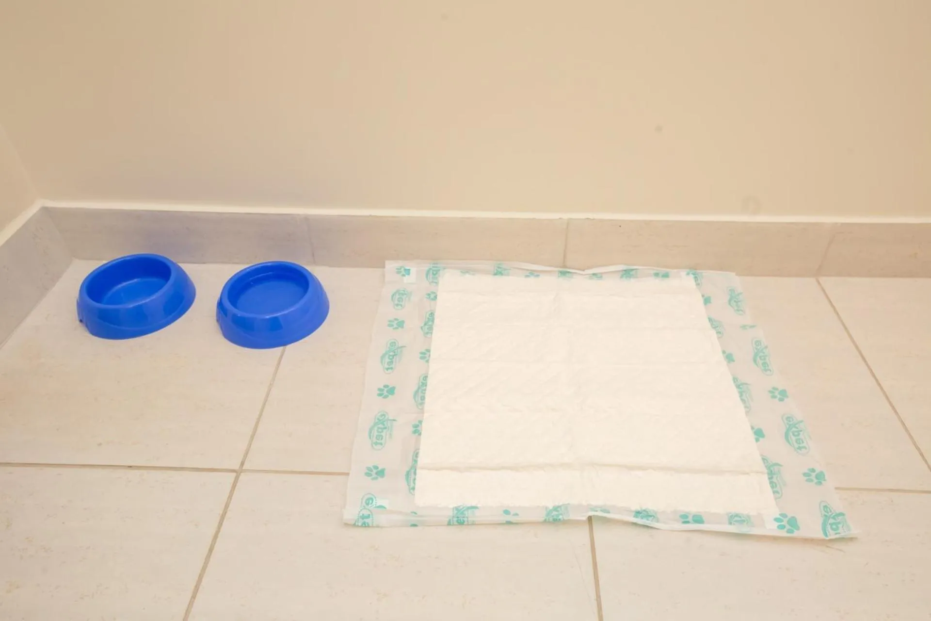 Transamerica Fit Campinas