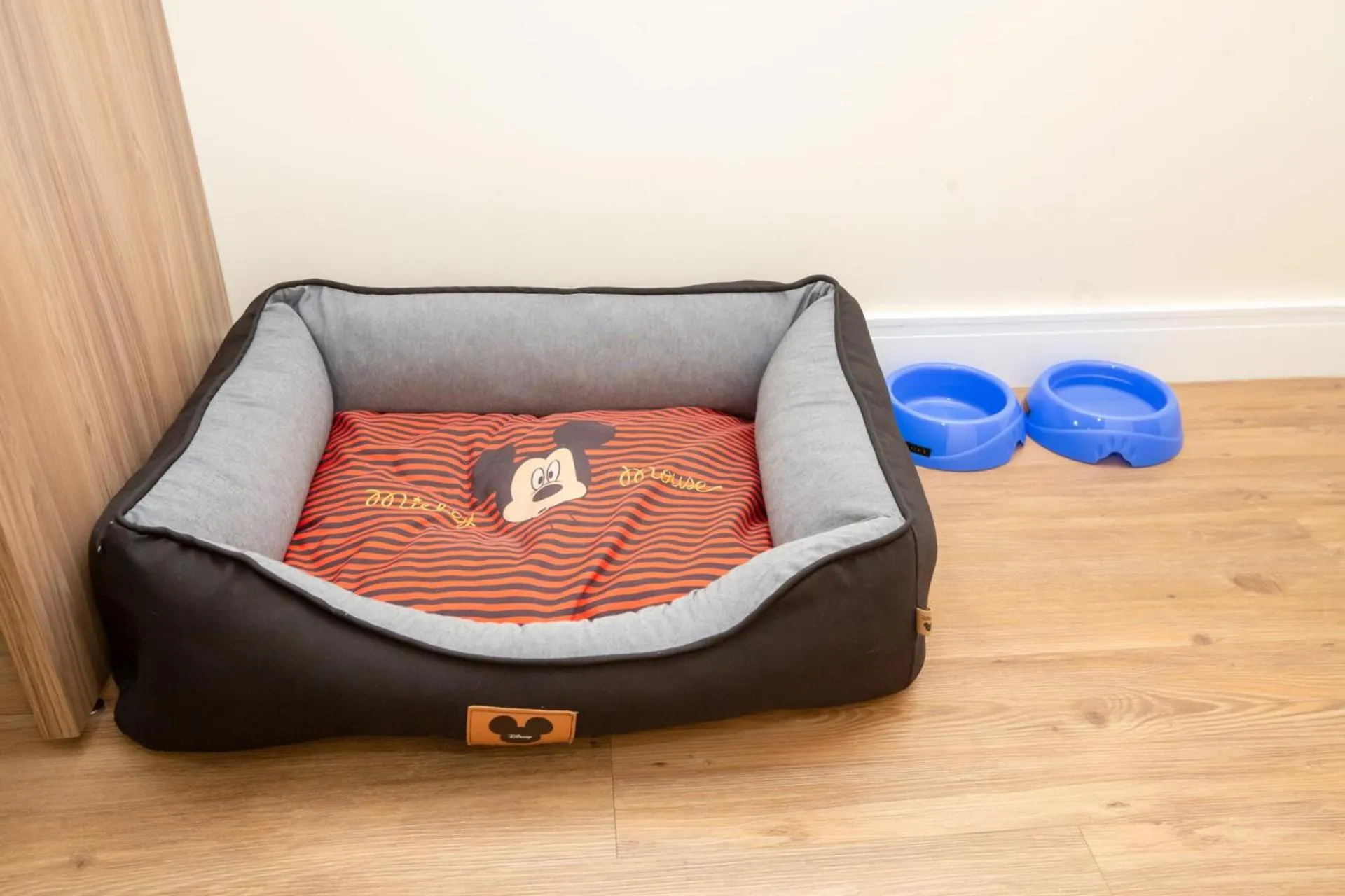 Pets in Transamerica Fit Campinas