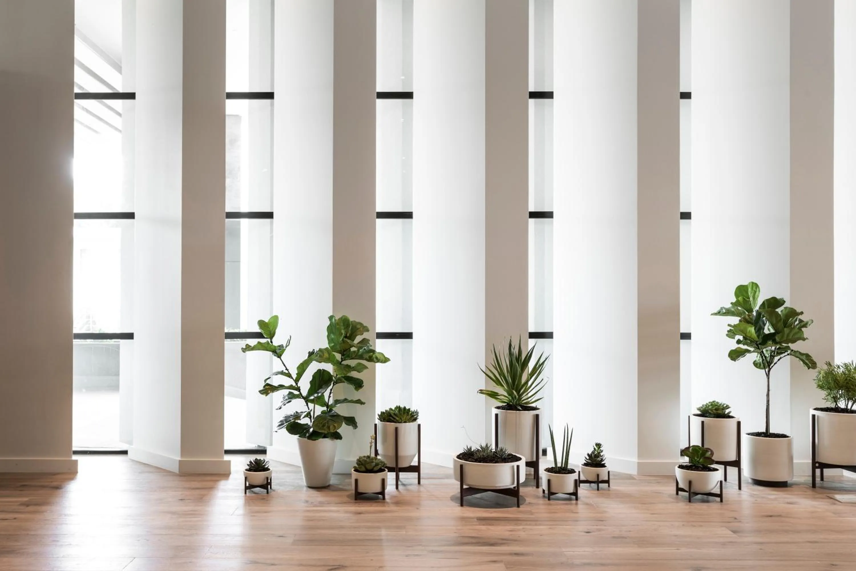 Property building in Kimpton Everly Hotel Hollywood by IHG