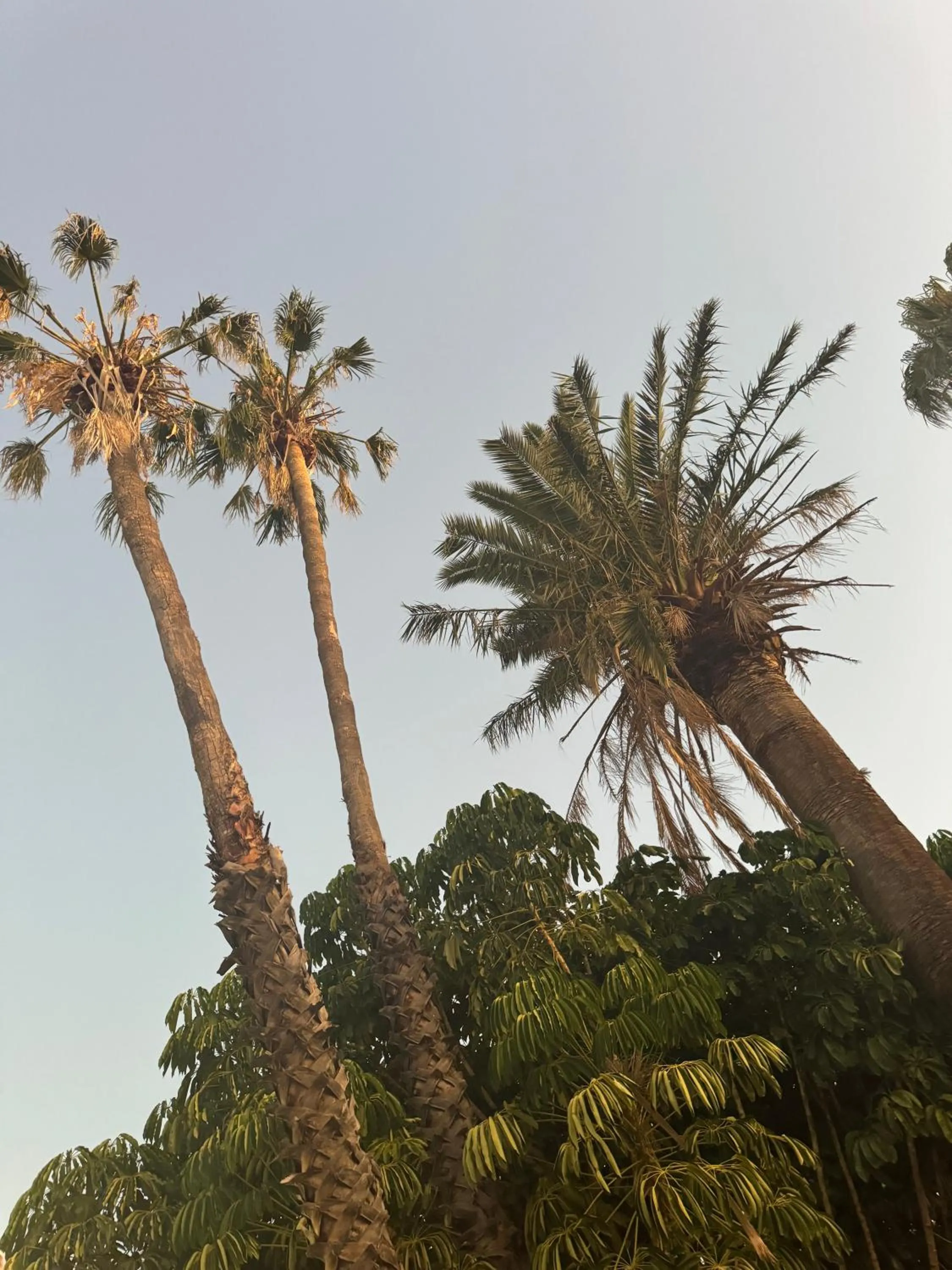 Natural landscape in Lake Mulwala Boatel