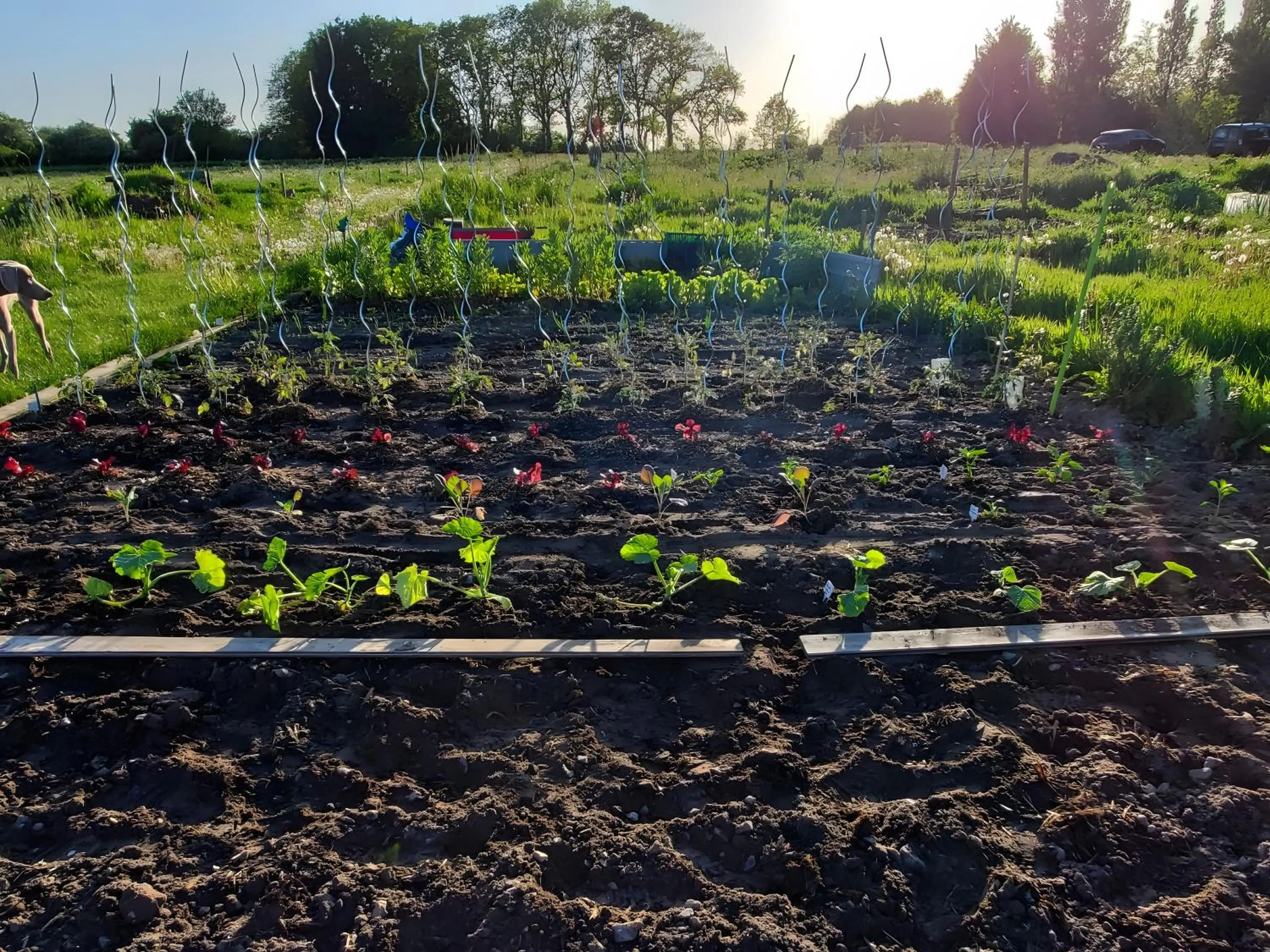 Property building in Chambre D'hôtes La Sirène - Chambre
